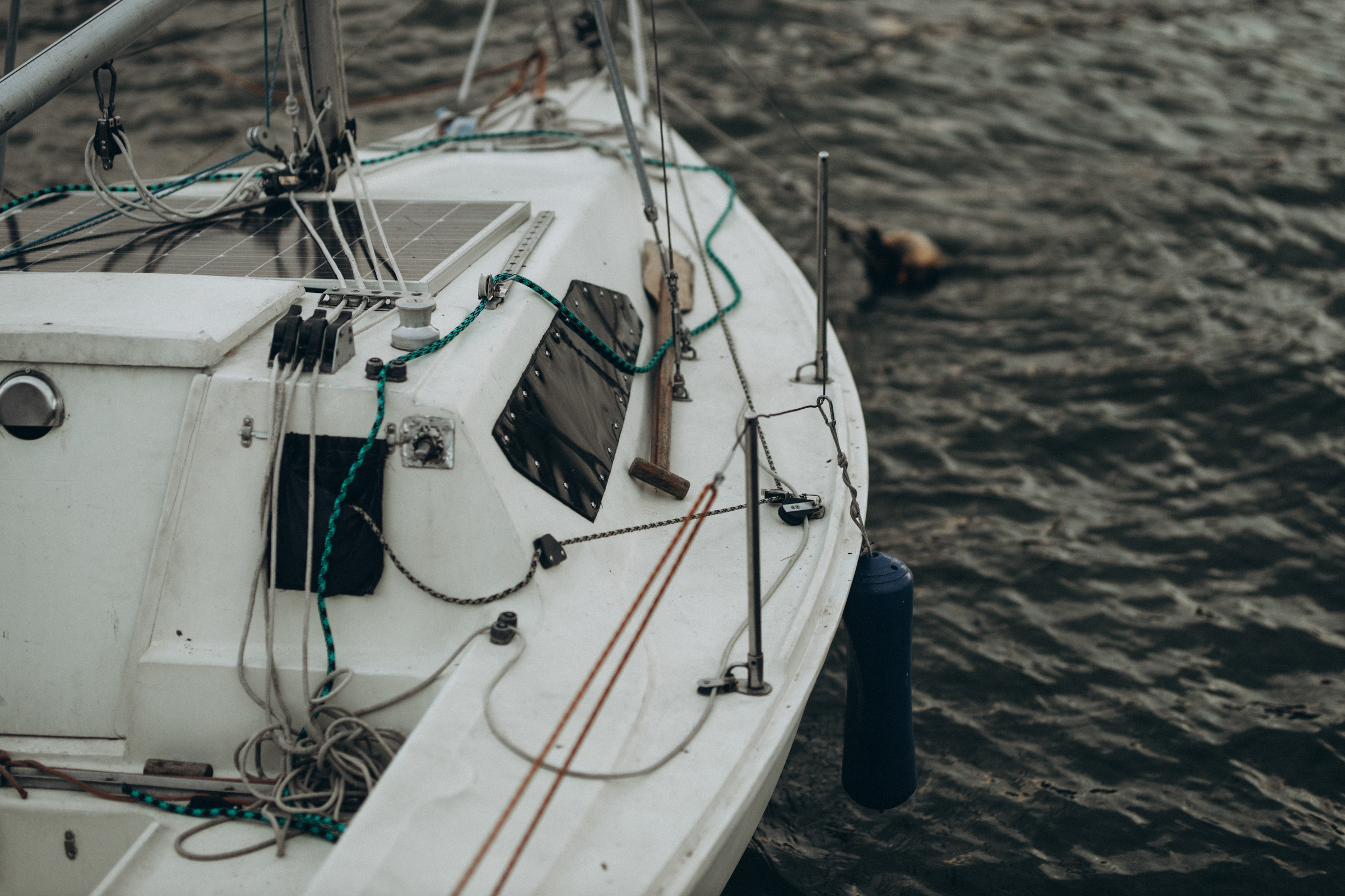 Море внутри. Свадебный фотограф Минск