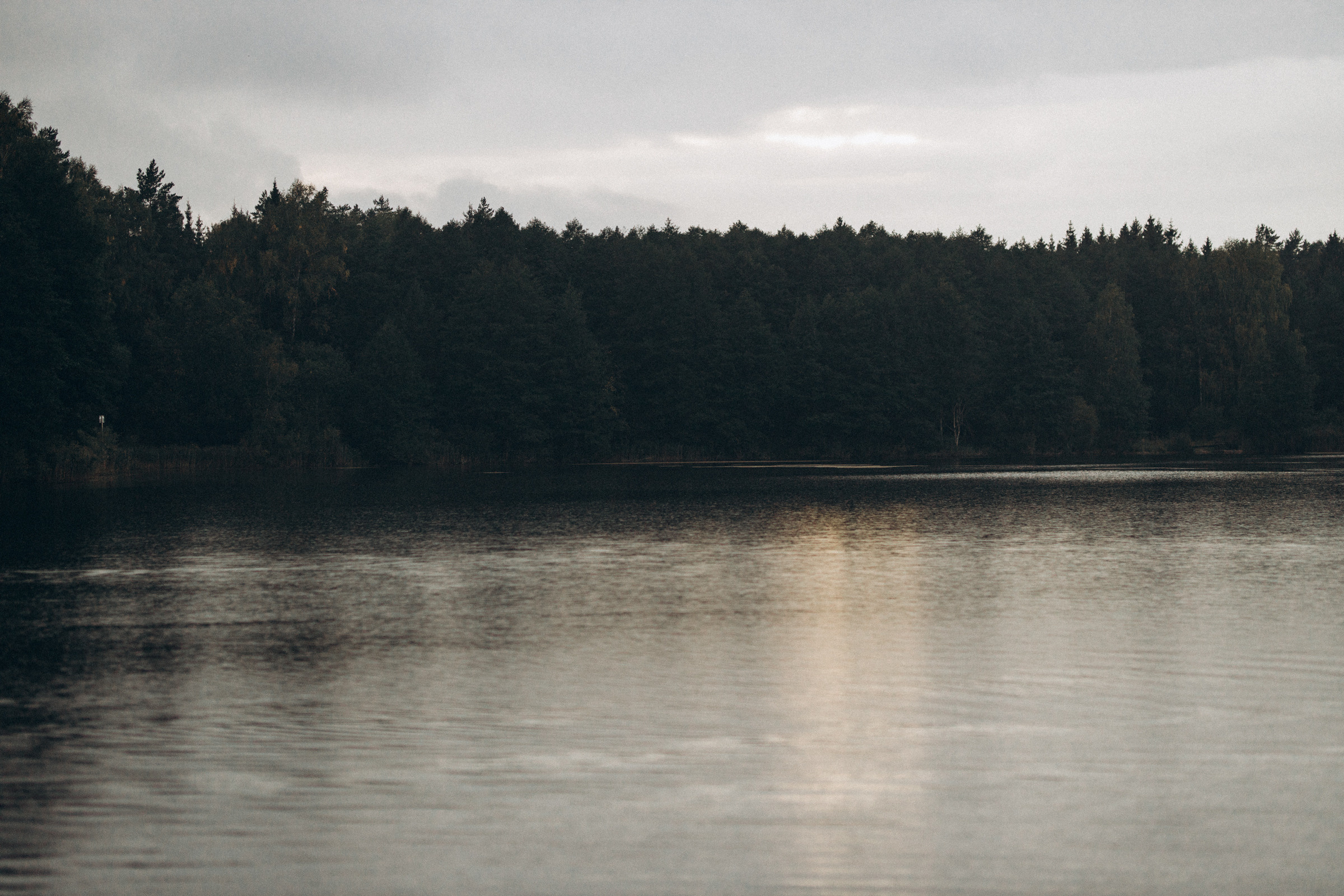 Как лебеди. Свадебный фотограф Минск