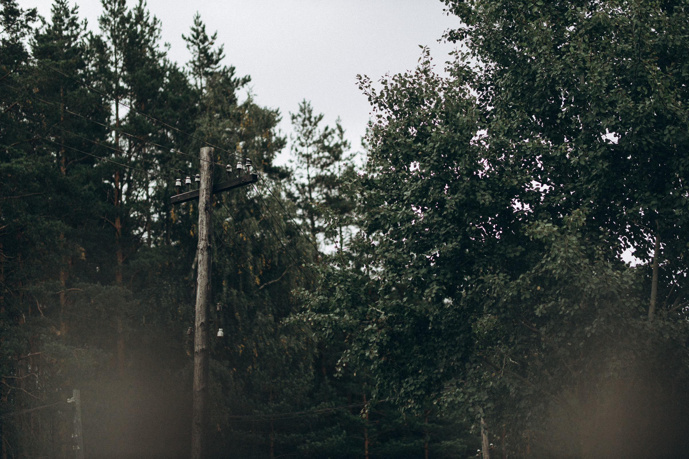 Как лебеди. Свадебный фотограф Минск