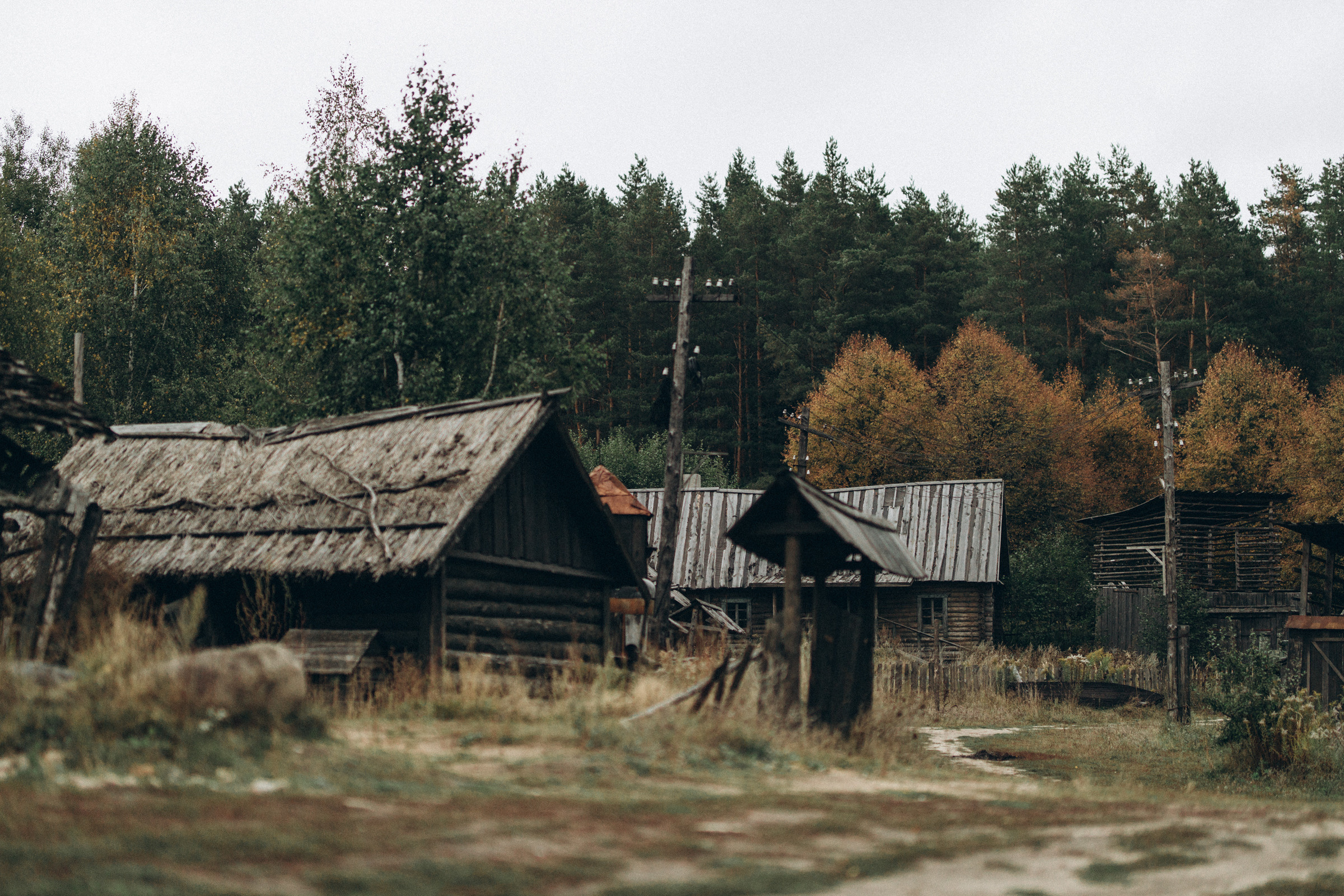 Как лебеди. Свадебный фотограф Минск