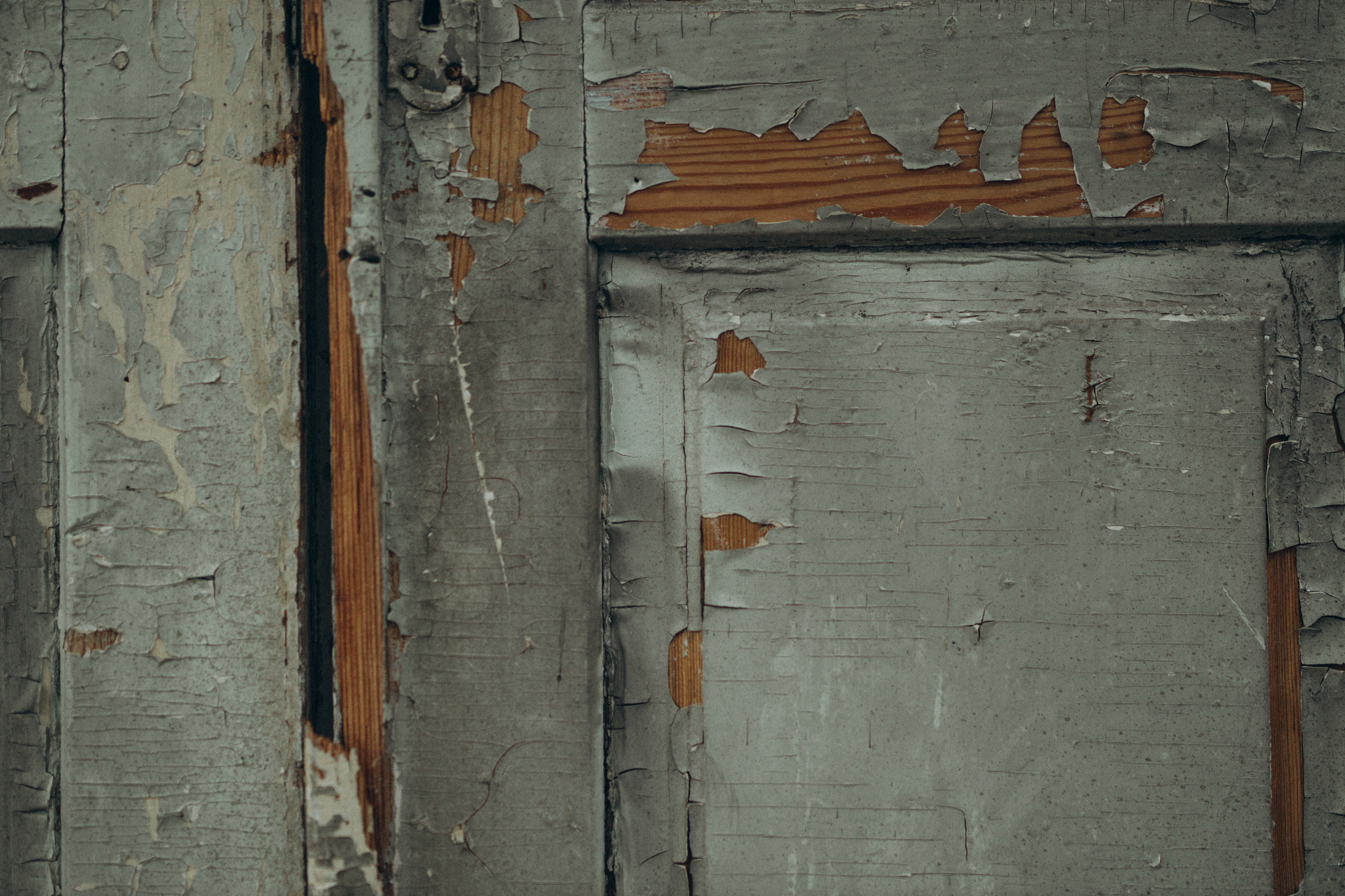 Как лебеди. Свадебный фотограф Минск