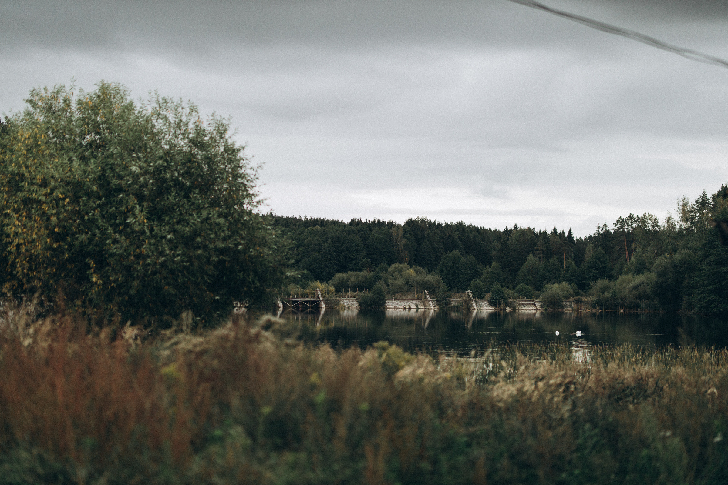 Как лебеди. Свадебный фотограф Минск