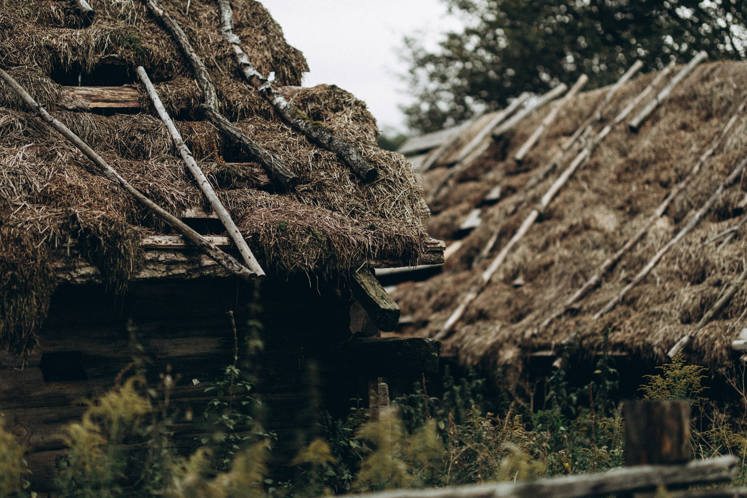 Как лебеди. Свадебный фотограф Минск