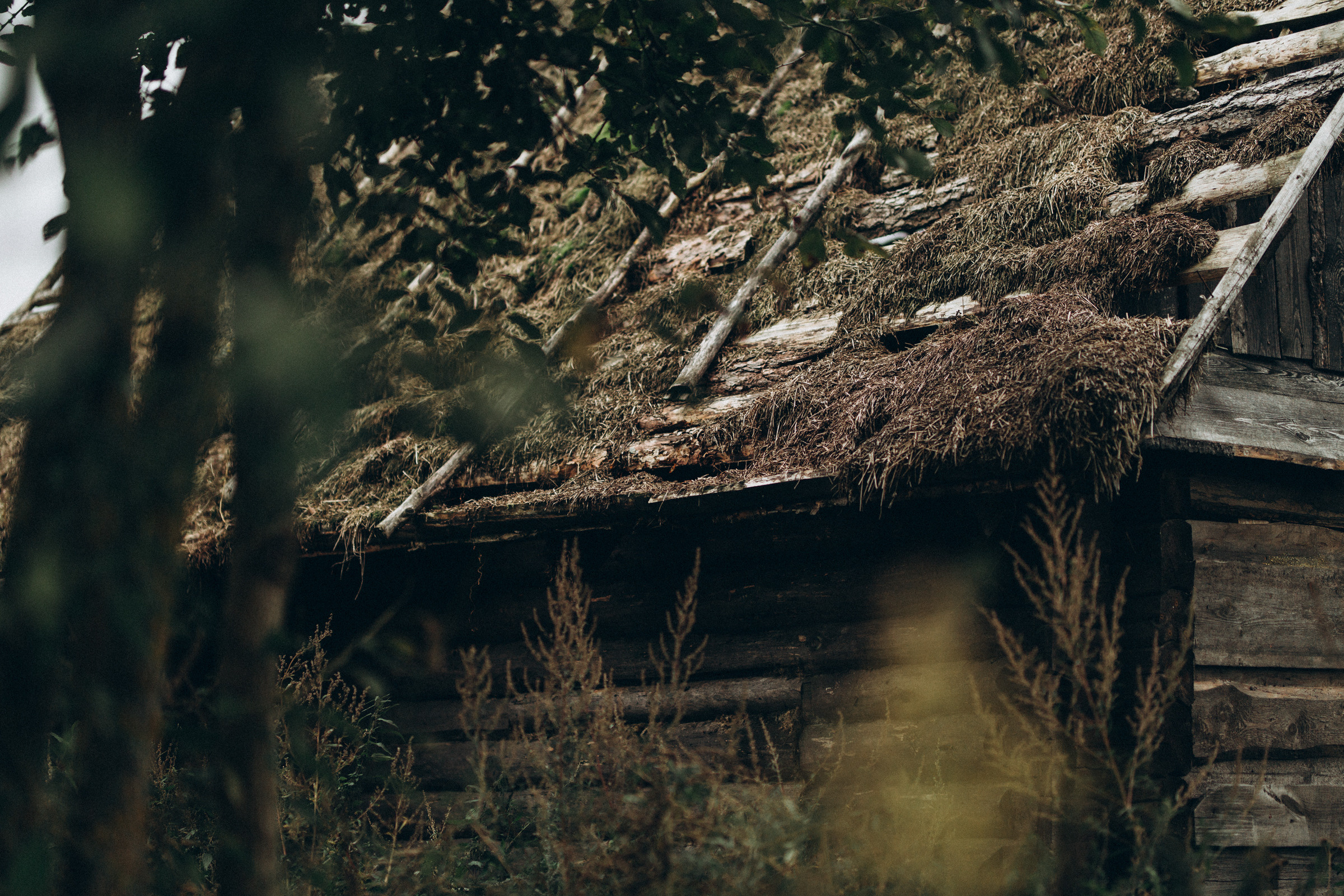 Как лебеди. Свадебный фотограф Минск
