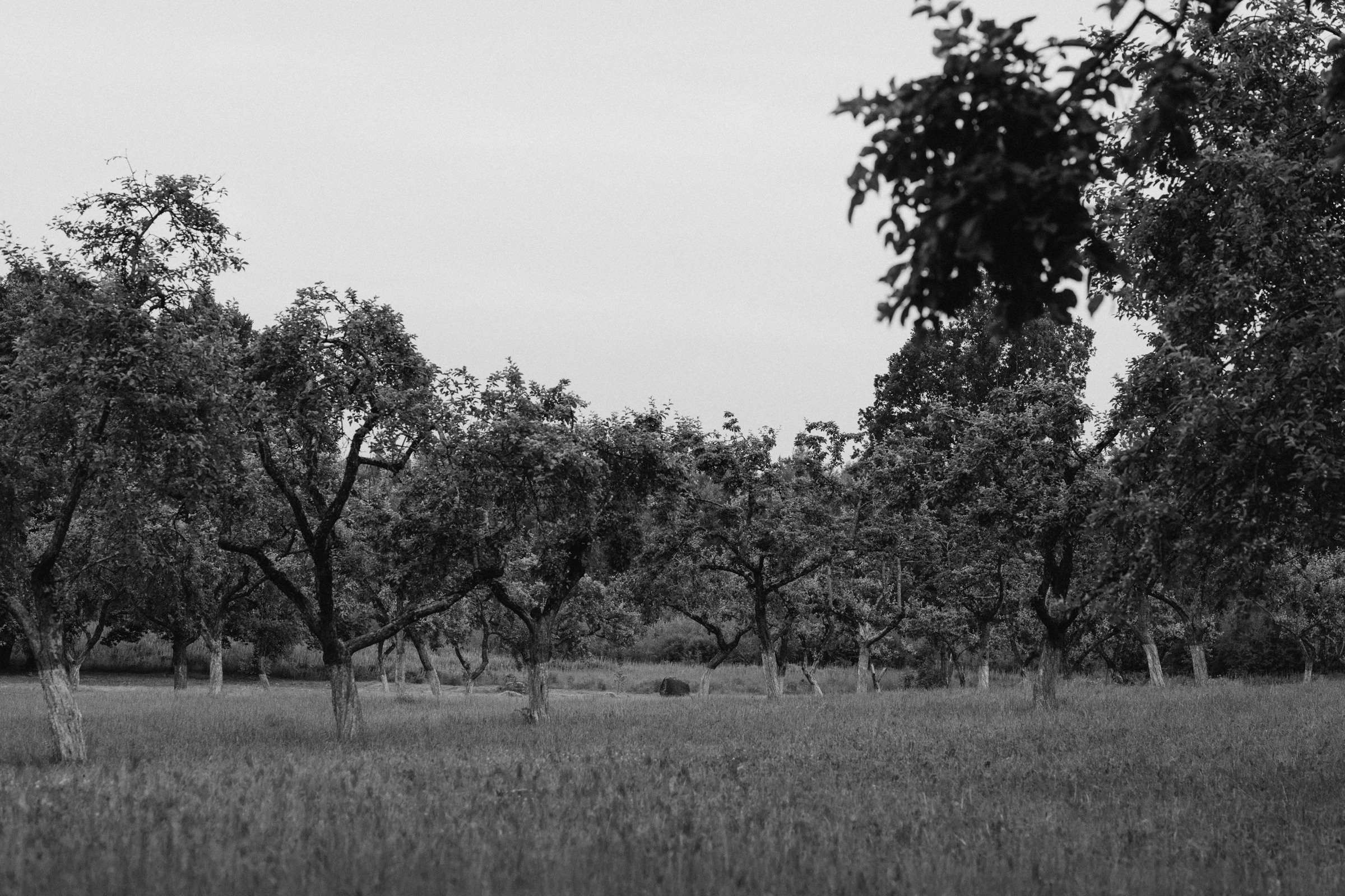 Милошик. Свадебный фотограф Минск