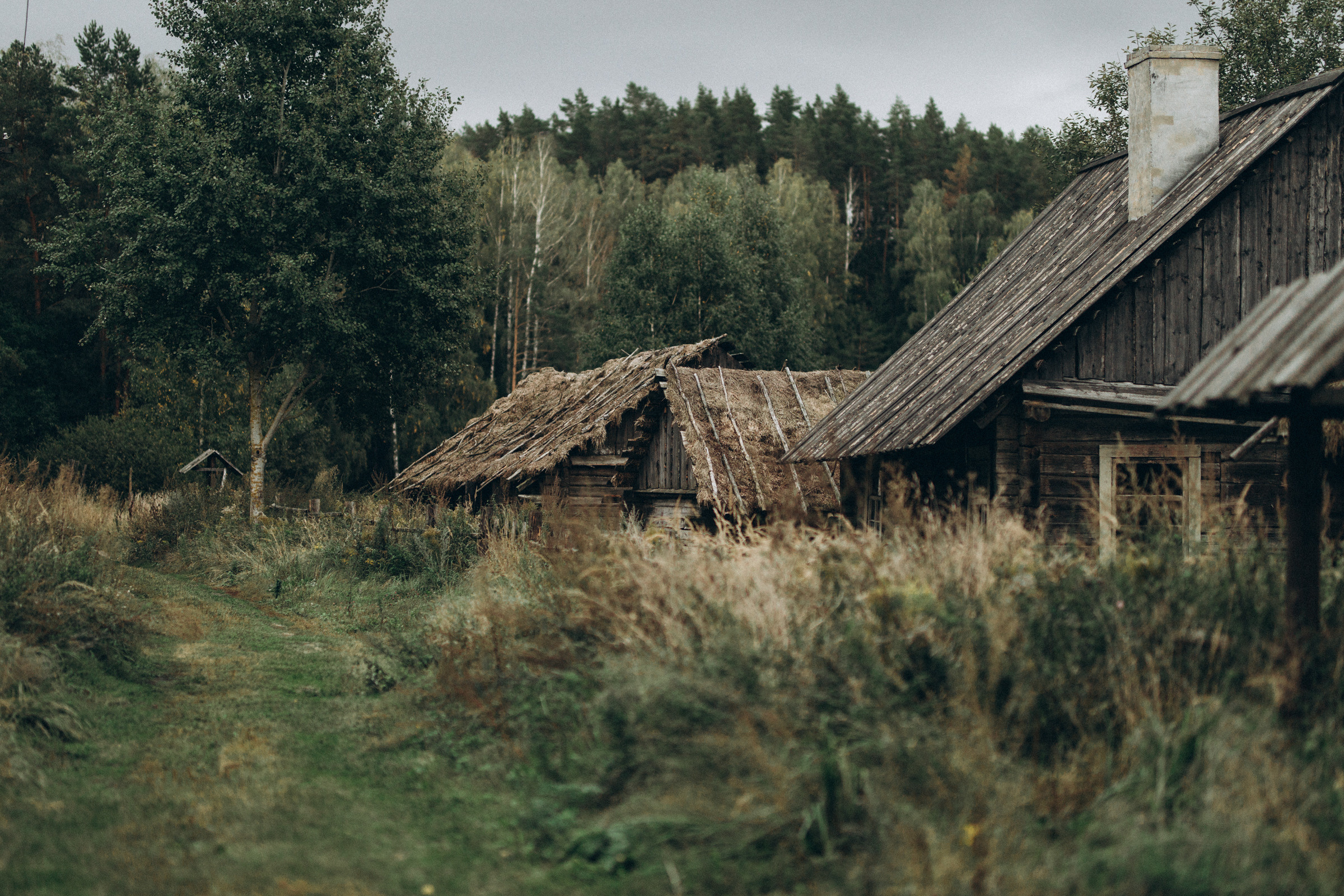 Как лебеди. Свадебный фотограф Минск