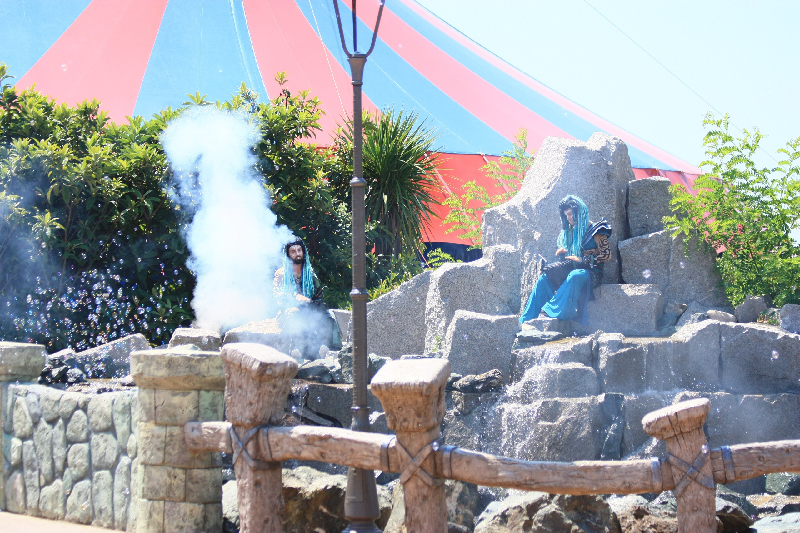 Первые кадры. Сочи — парк. Фотограф Роман Адлер