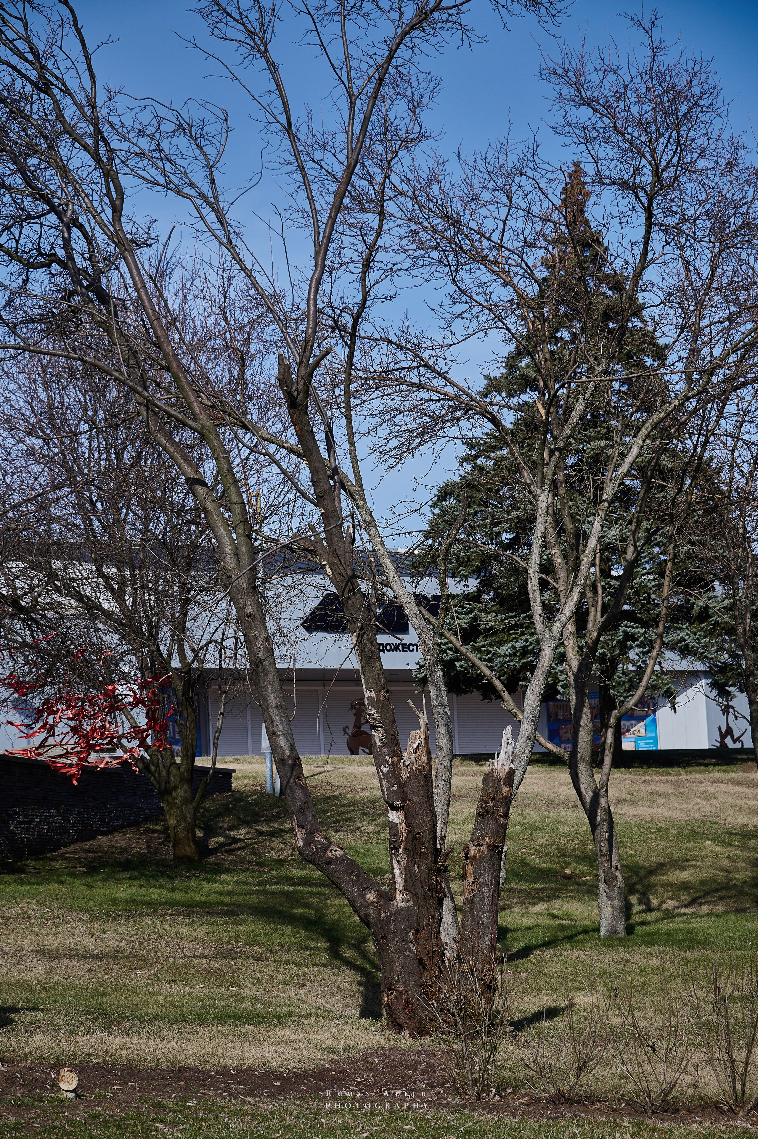 Донецк. Февраль 2024. Фотограф Роман Адлер