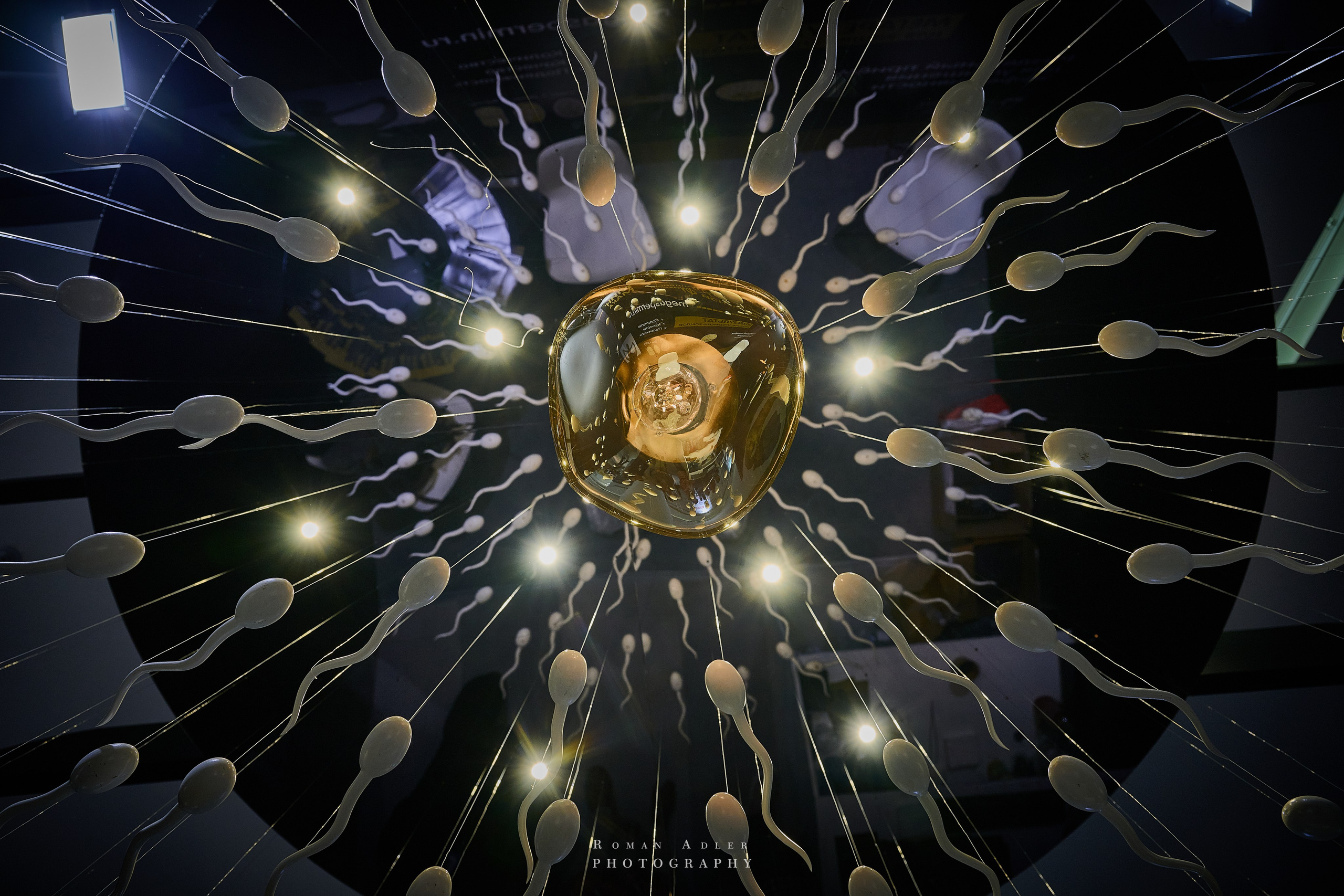 ХХI Конгрес «Мужское Здоровье». Сочи. Фотограф Роман Адлер