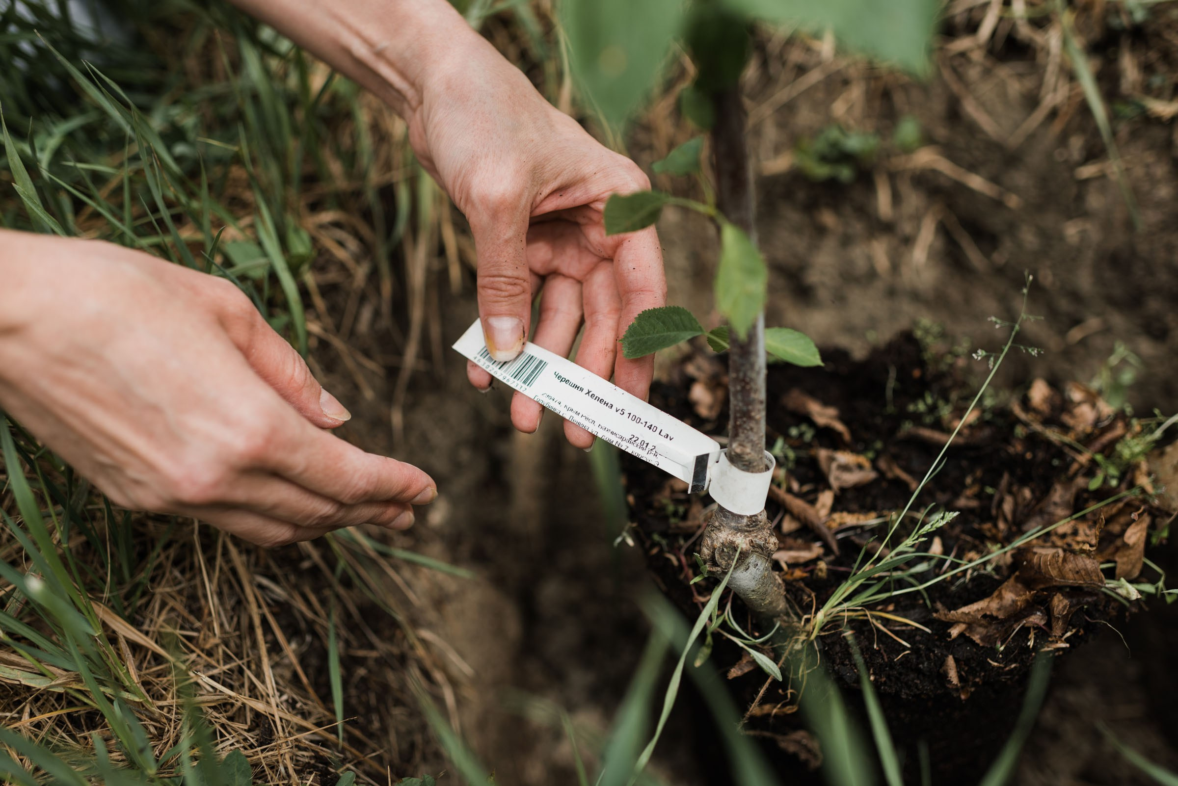 Дана / Ретрит-Випассана с Энтони Марквеллом. Фотограф Алутера Ирина