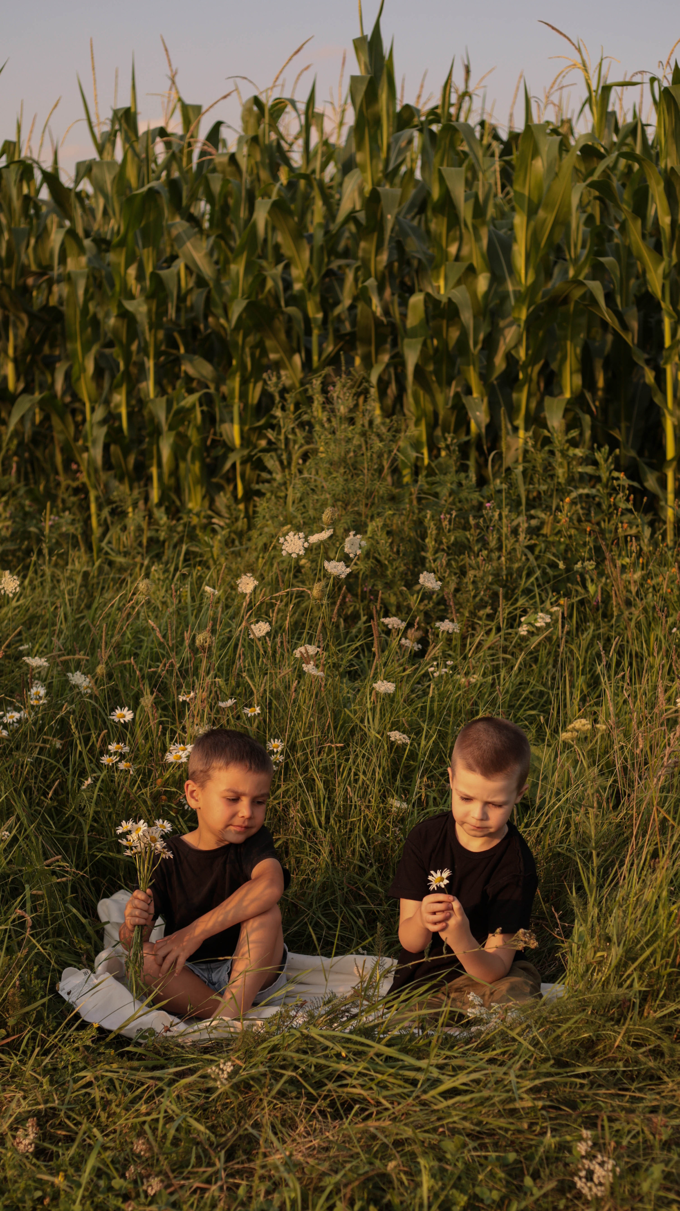 Ромашки. Семейный и детский фотограф в Тольятти Ирина Карпенцова