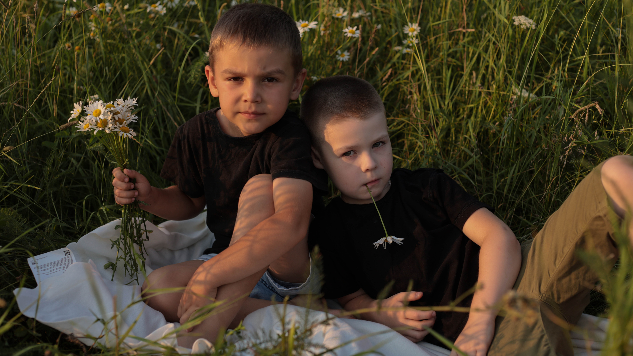 Ромашки. Семейный и детский фотограф в Тольятти Ирина Карпенцова