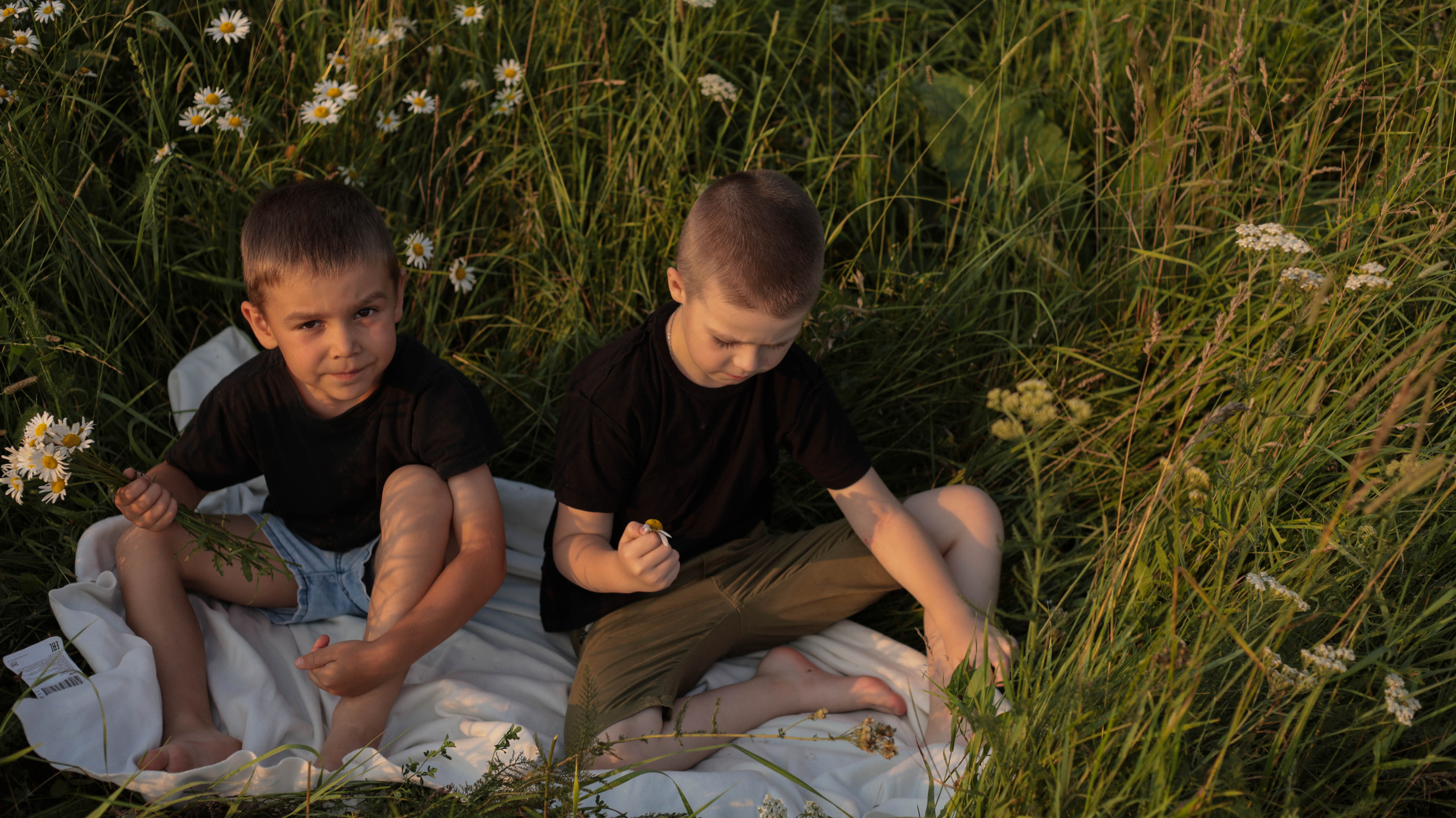 Ромашки. Семейный и детский фотограф в Тольятти Ирина Карпенцова
