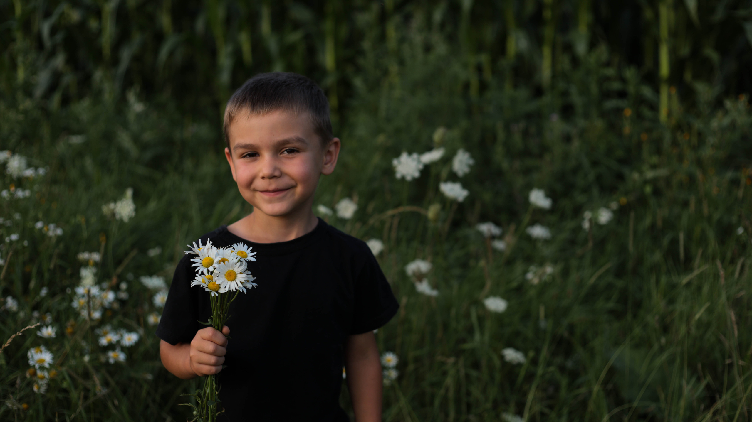 Ромашки. Семейный и детский фотограф в Тольятти Ирина Карпенцова