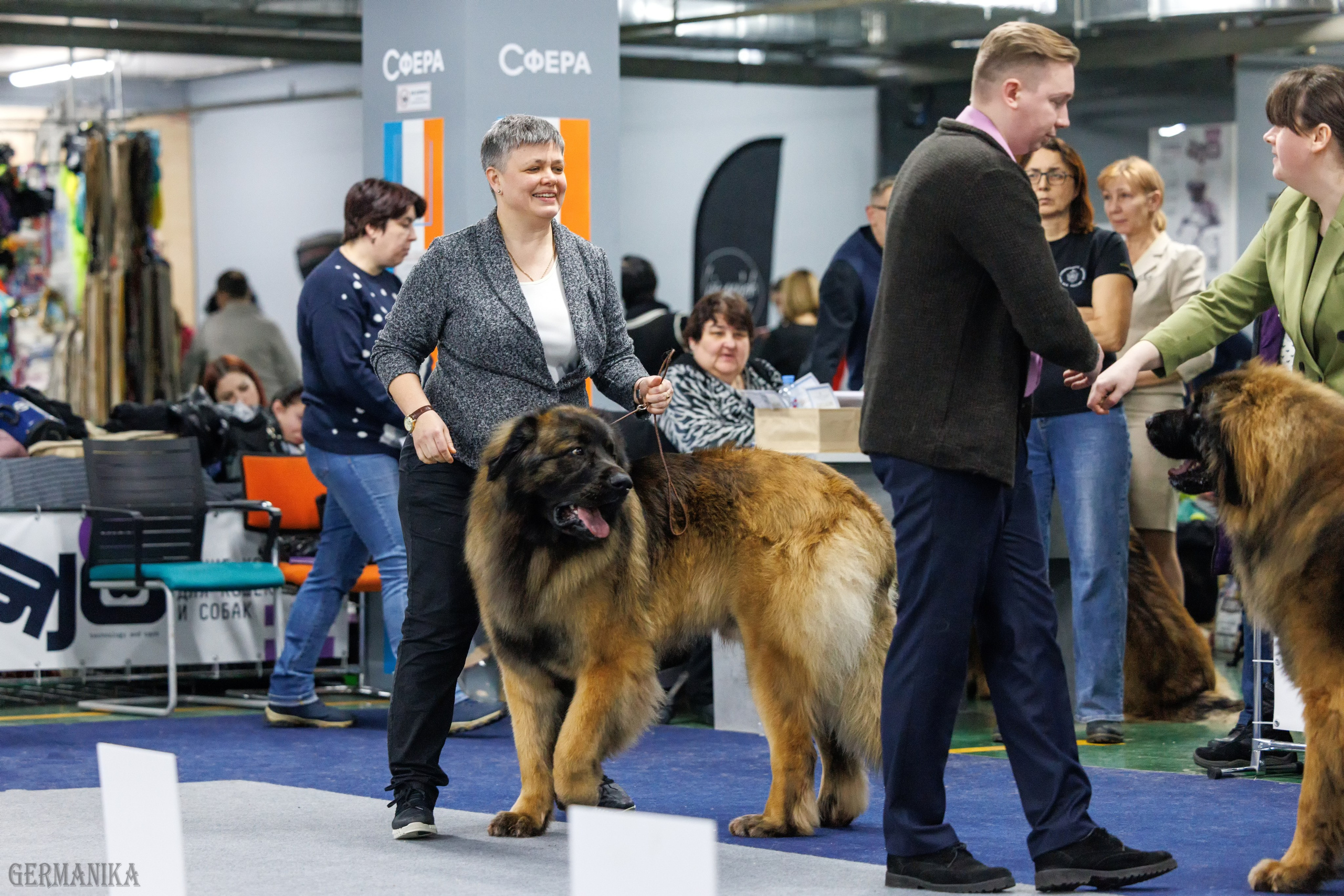 Сфера 28.01. и 4.02.2024. Фотограф-анималист Юлия Германика