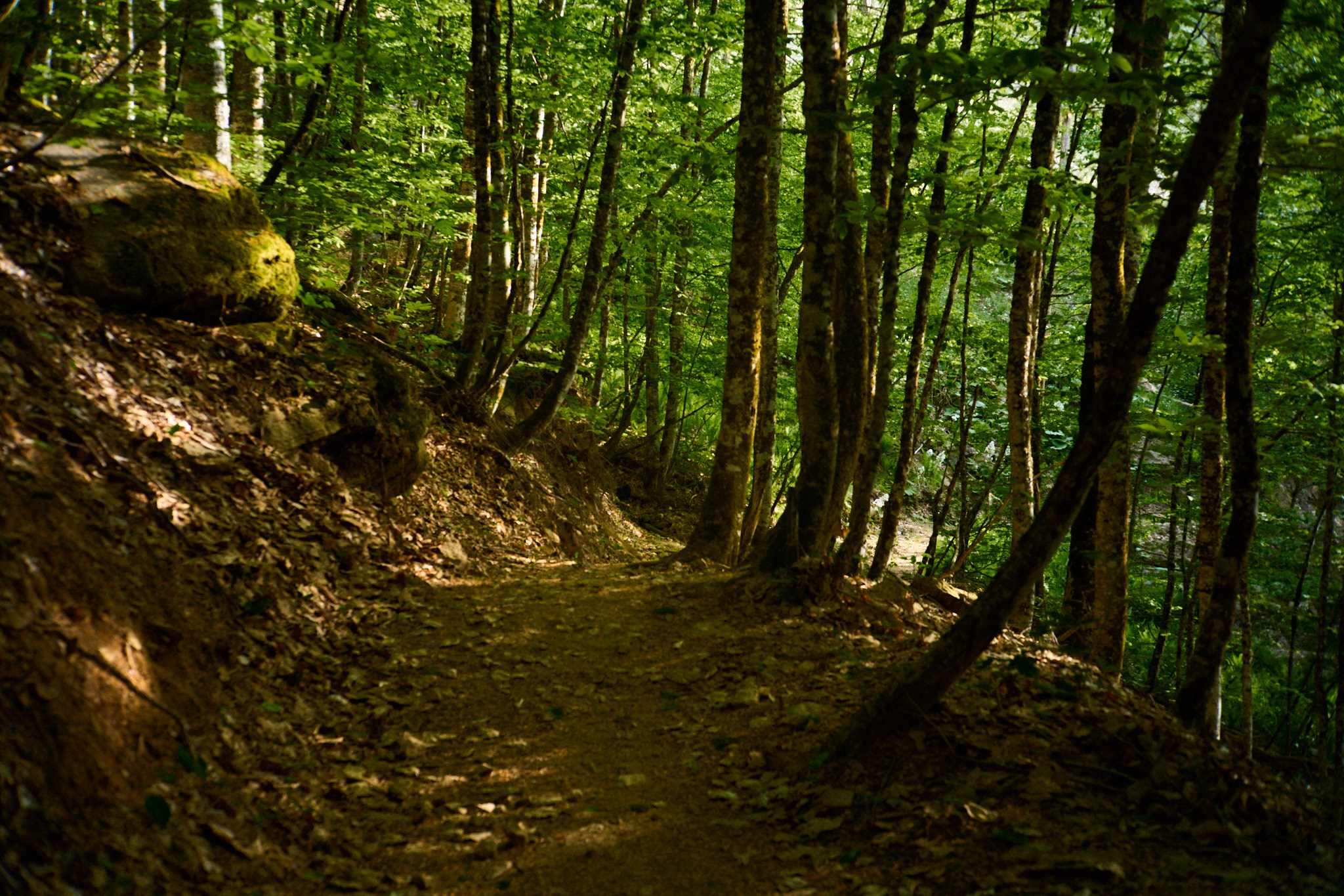 Красная Поляна, апрель 2024. Фотограф, Римма Невинская