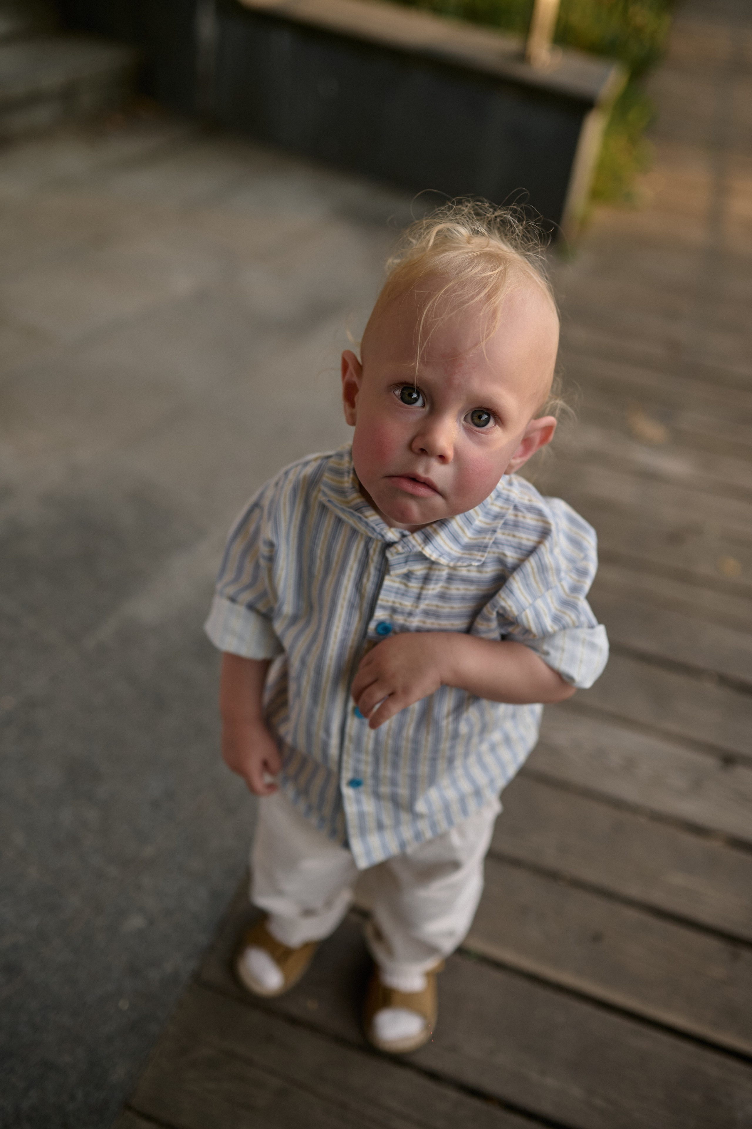 Сима и Яннис. Семейный и свадебный lifestyle-фотограф в Москве Мария Петрова