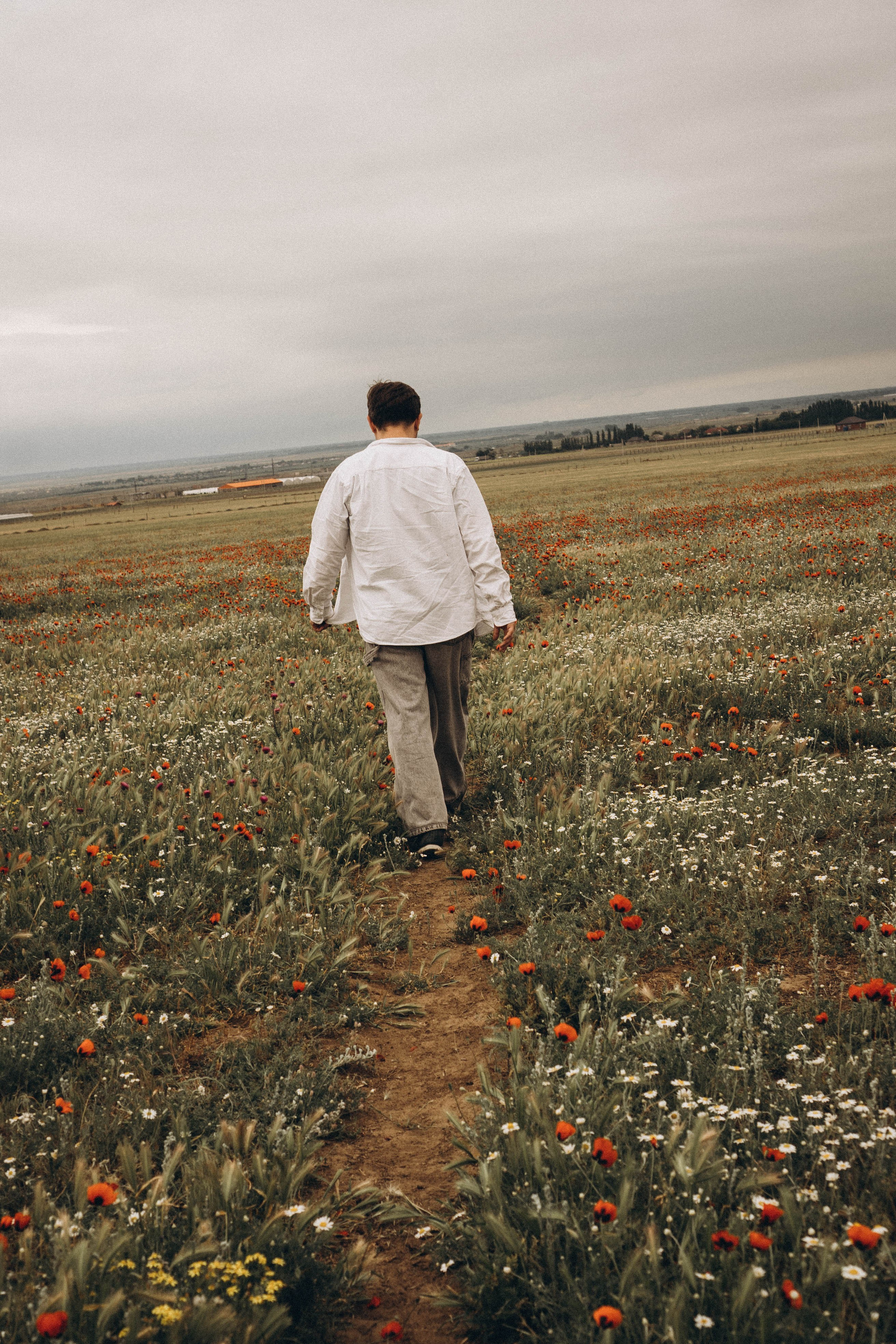 Маки. Профессиональный фотограф, Санкт-Петербург — Виктория Богомолова