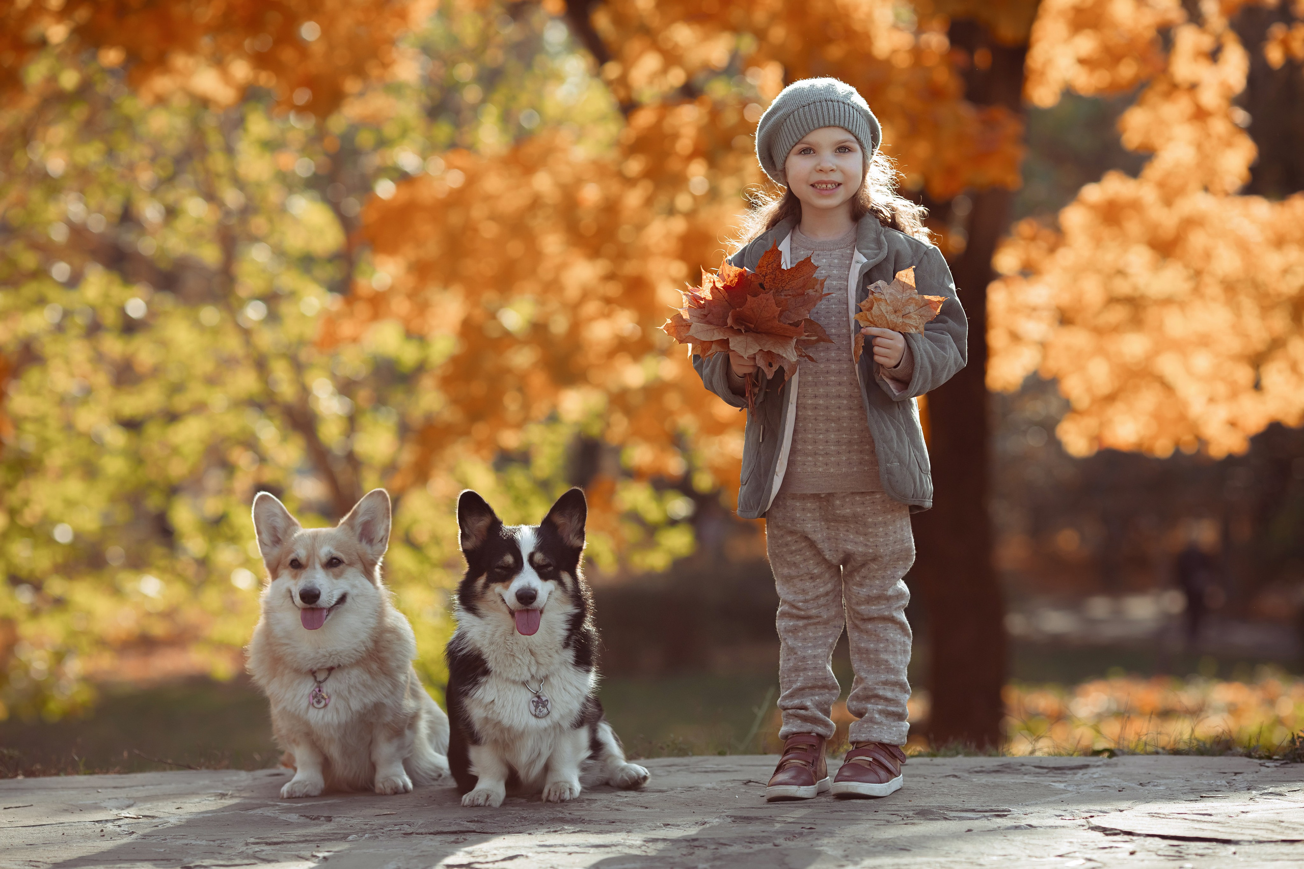 Эва с корги. Семейный и детский фотограф в Москве Дорогова Екатерина