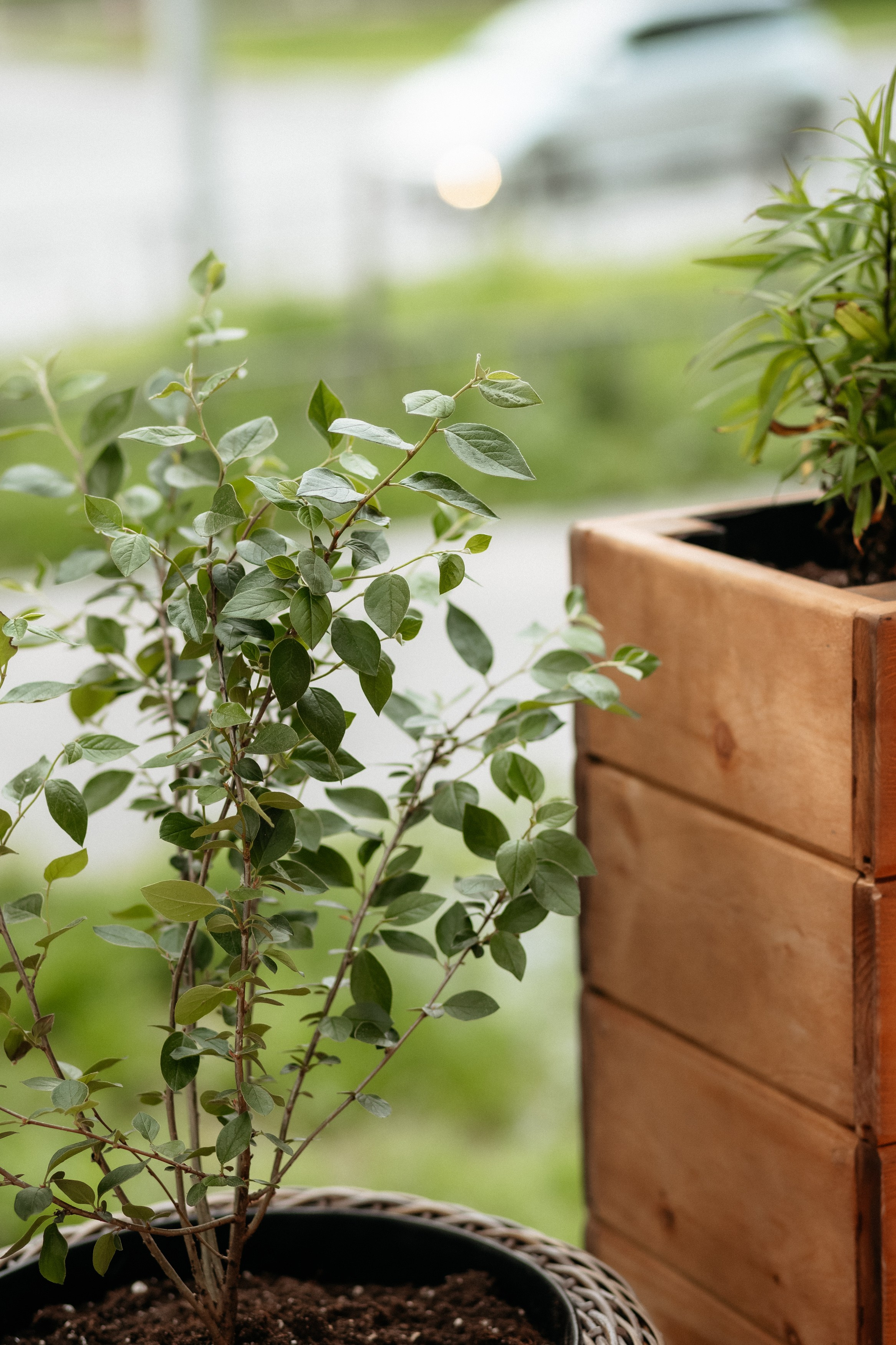 РЕСНОТА — ОТКРЫТИЕ ТЕРРАСЫ. СВОИ. ФОТООТЧЕТЫ-СОБЫТИЯ-МЕСТА