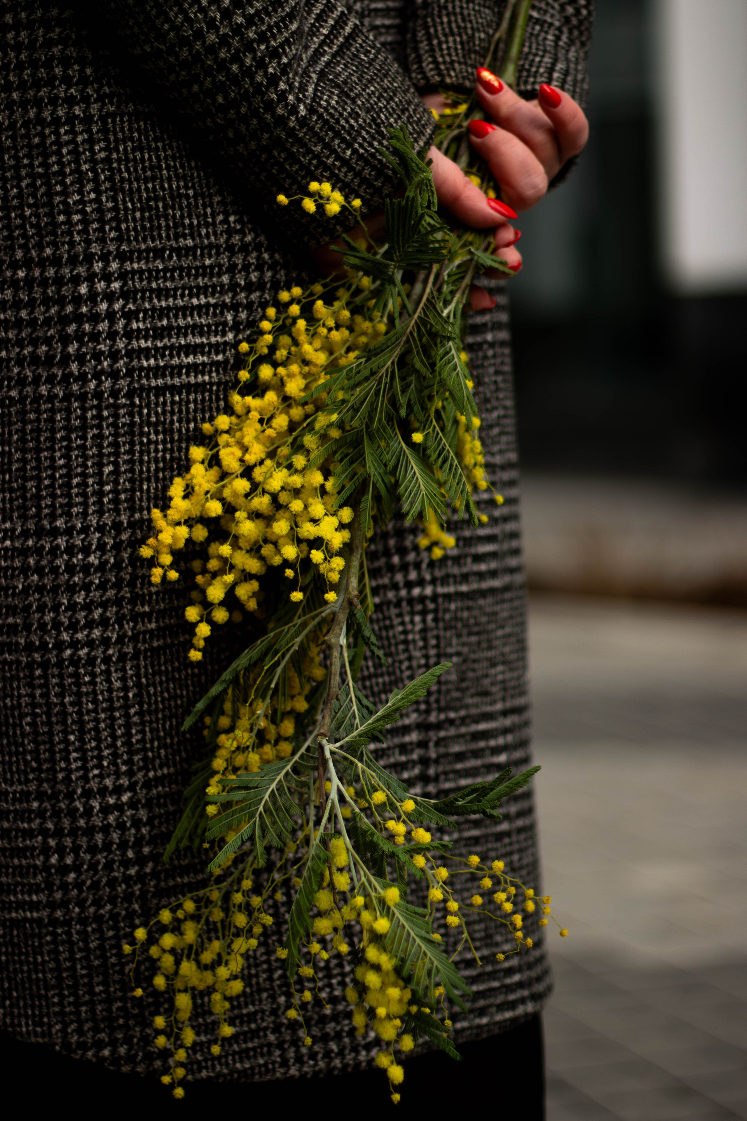 Прогулка с Аней. Портретный фотограф Москва Юлия Трякина