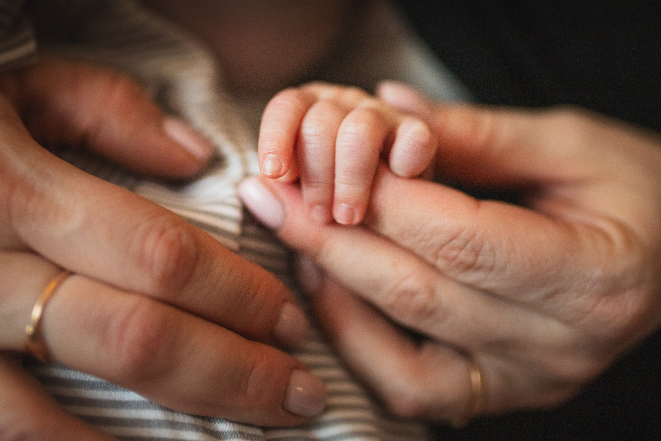 Младший брат. Семейный и школьный фотограф в Москве Анна Ткач