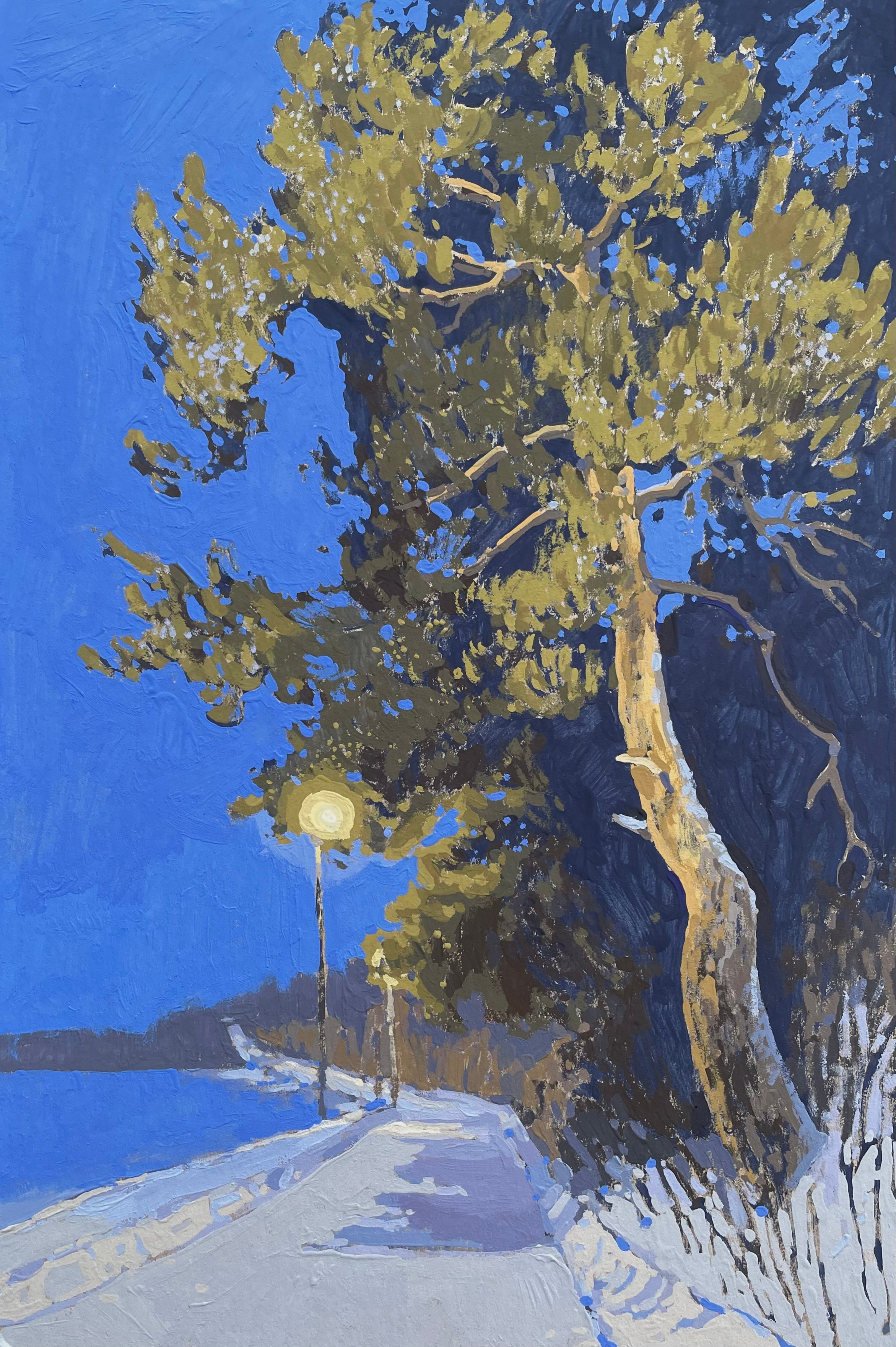 Вологодская область. Художница Лиза Владимирова