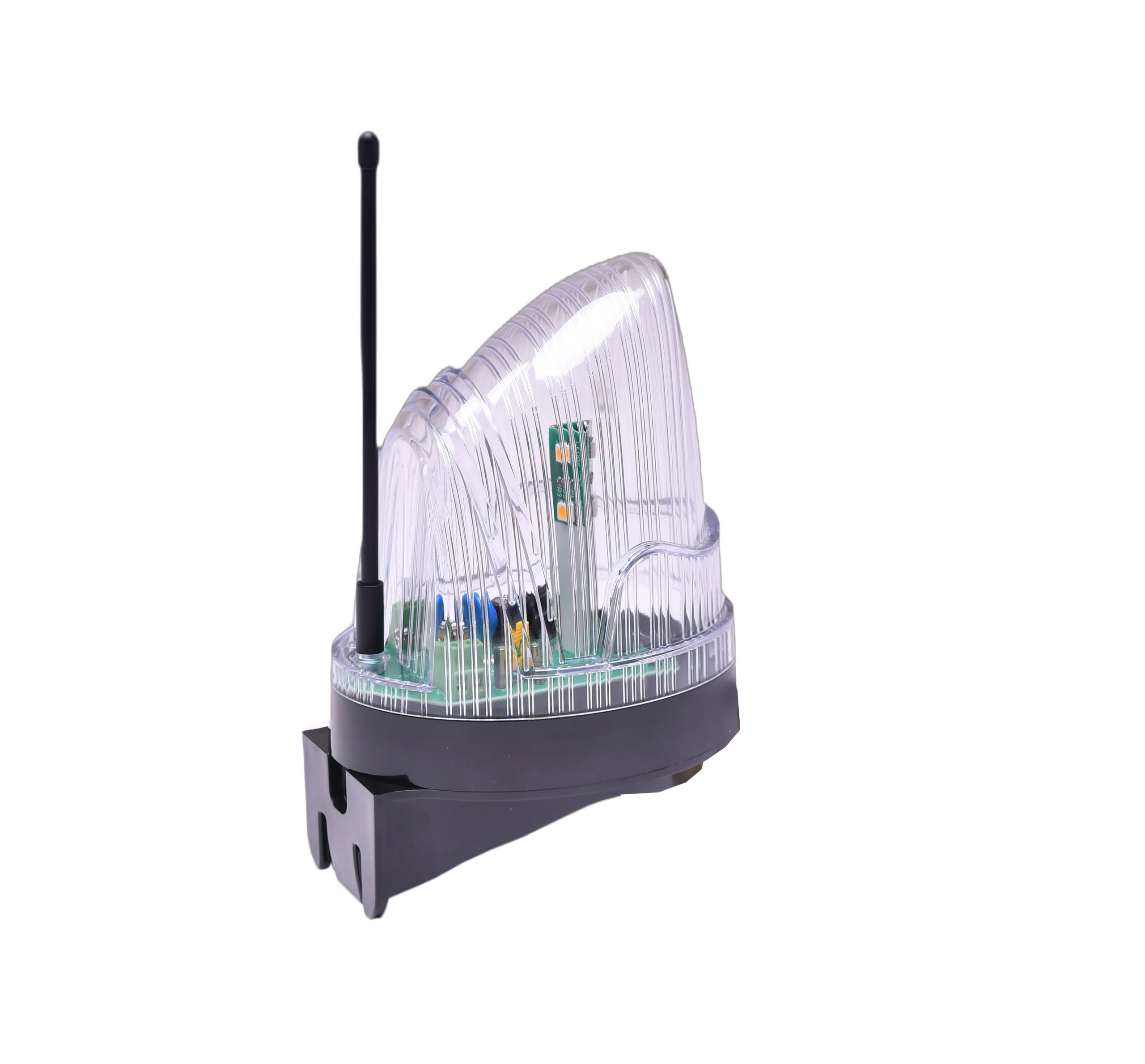 Лапмы. Профессиональная фотостудия в Санкт-Петербурге «Точка»