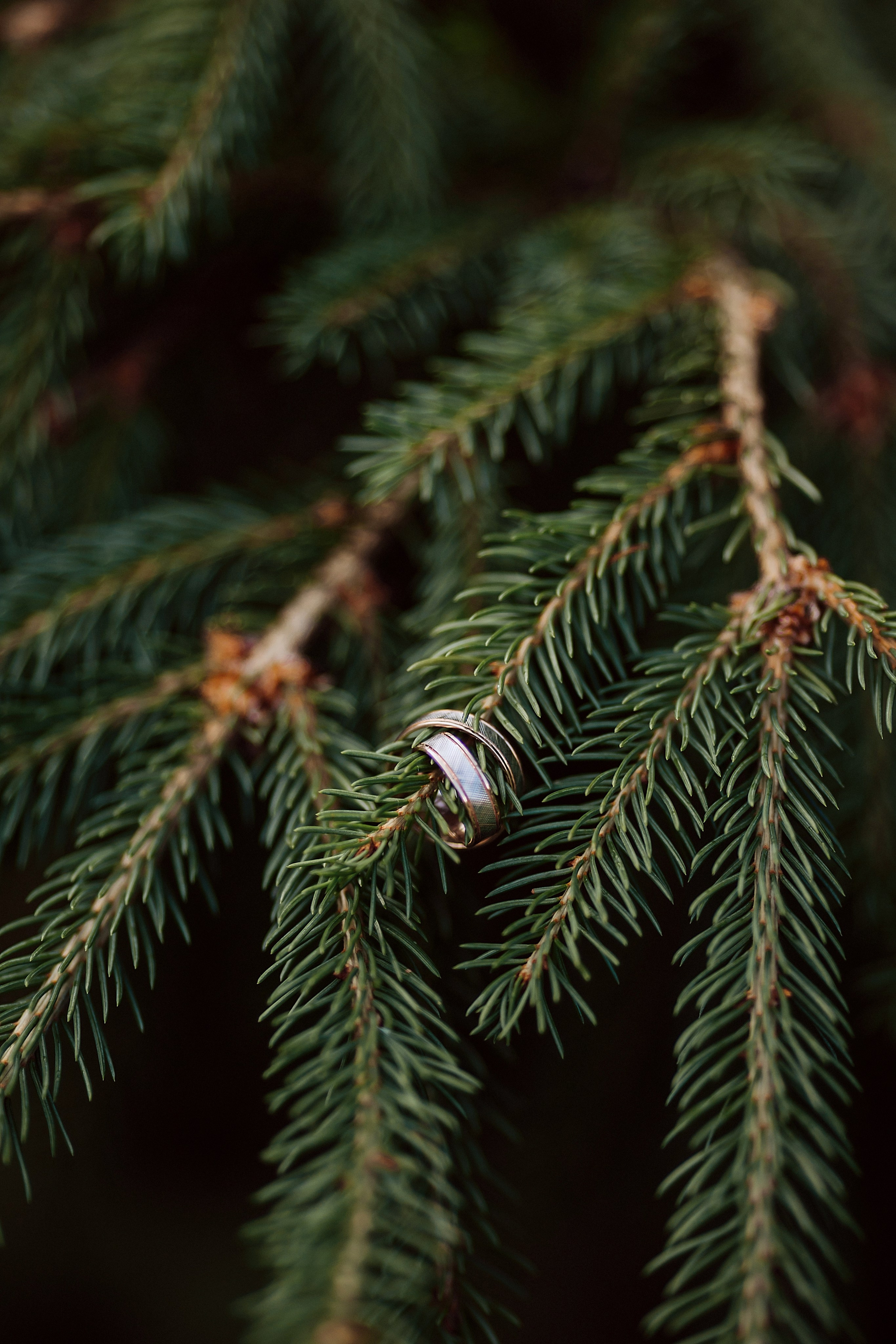 Сергей и Ксения. Свадебный и семейный фотограф в Йошкар-Оле
