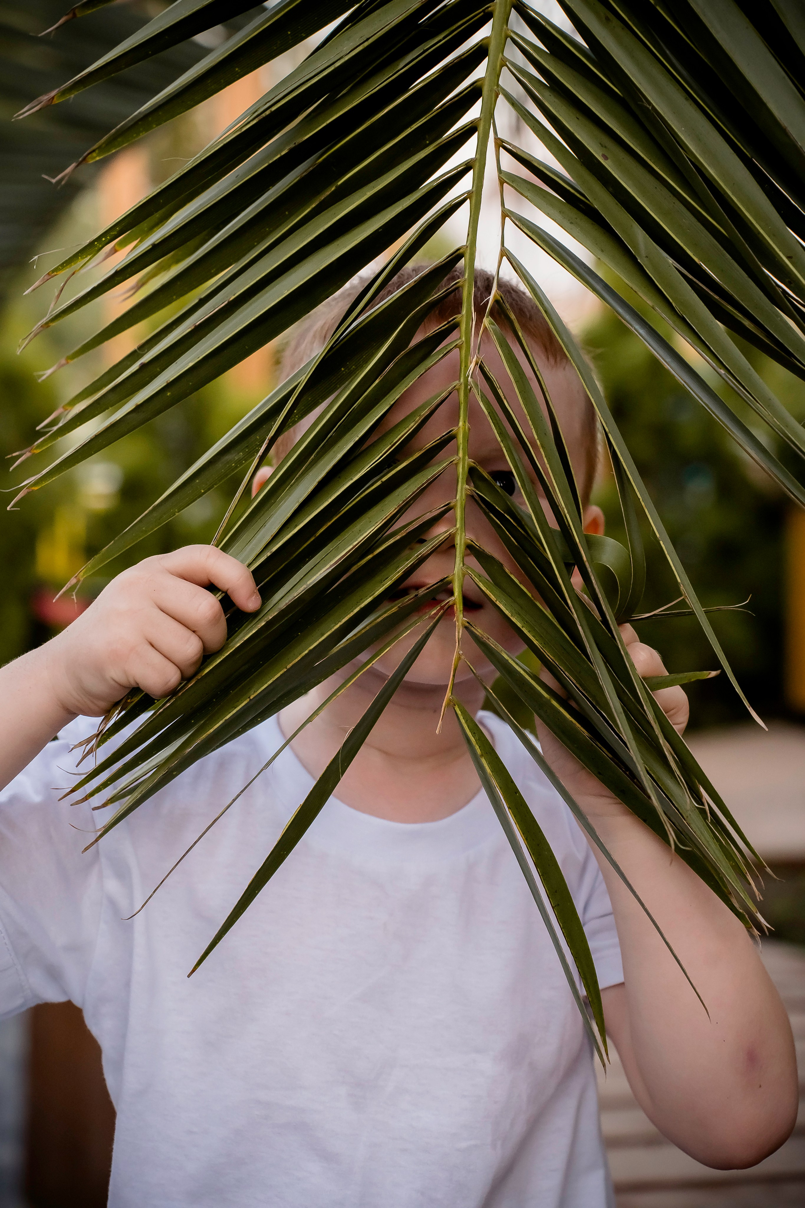Солнечные лучики. Фотограф Ирина Ликсунова