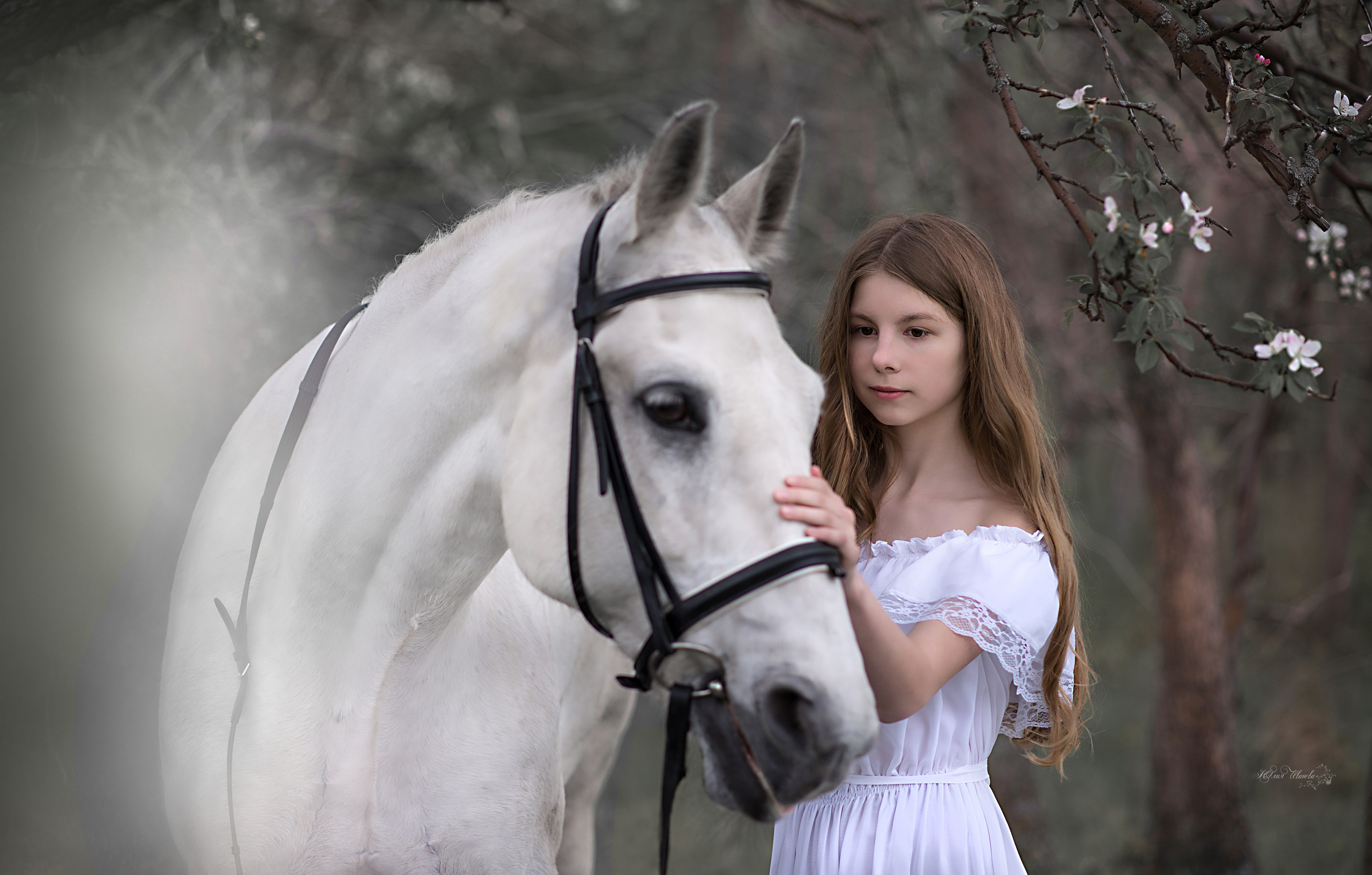 Девушки и Гипноз. Конный фотограф в Саратове Юлия Иванова