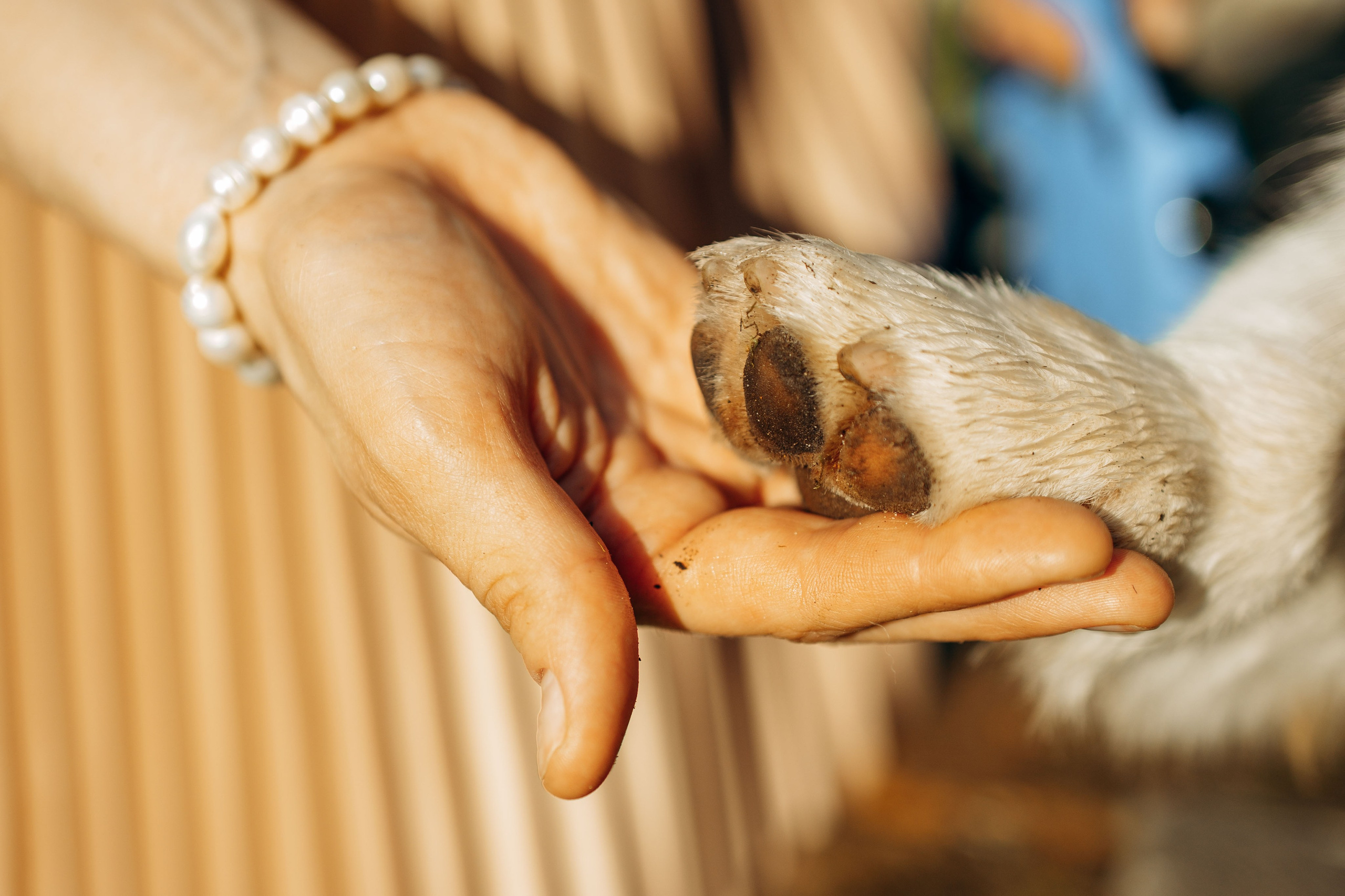 Евгения и Грей