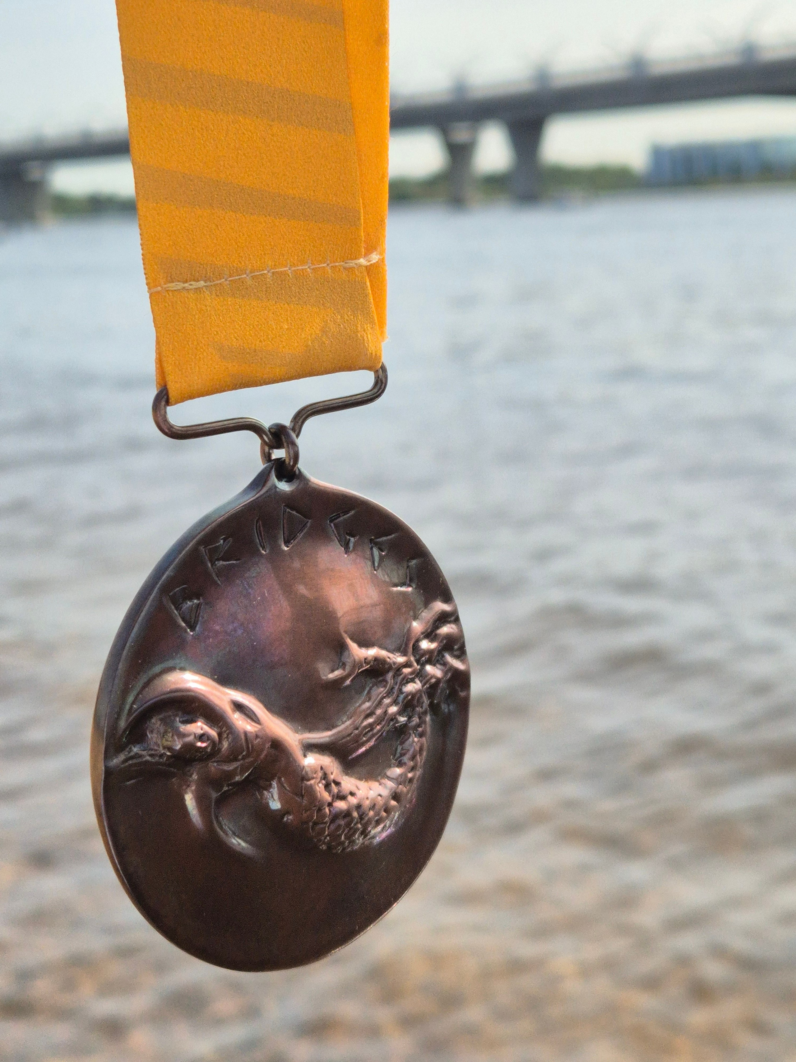 Медаль. Но не отпускает небольшая горечь, что не совсем по-настоящему было. Урезанная с 28 до 18 км трасса. Так было бы здорово сделать настоящие "мосты". Придется повторить :)