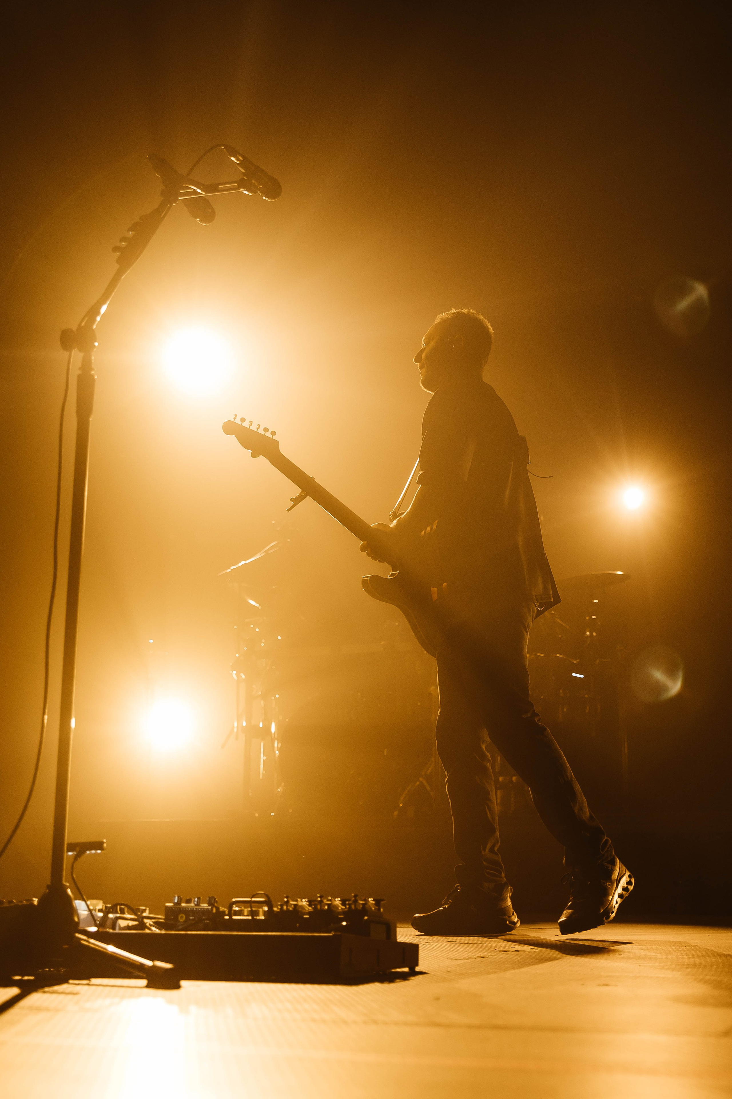 Звери. _Carpe diem_