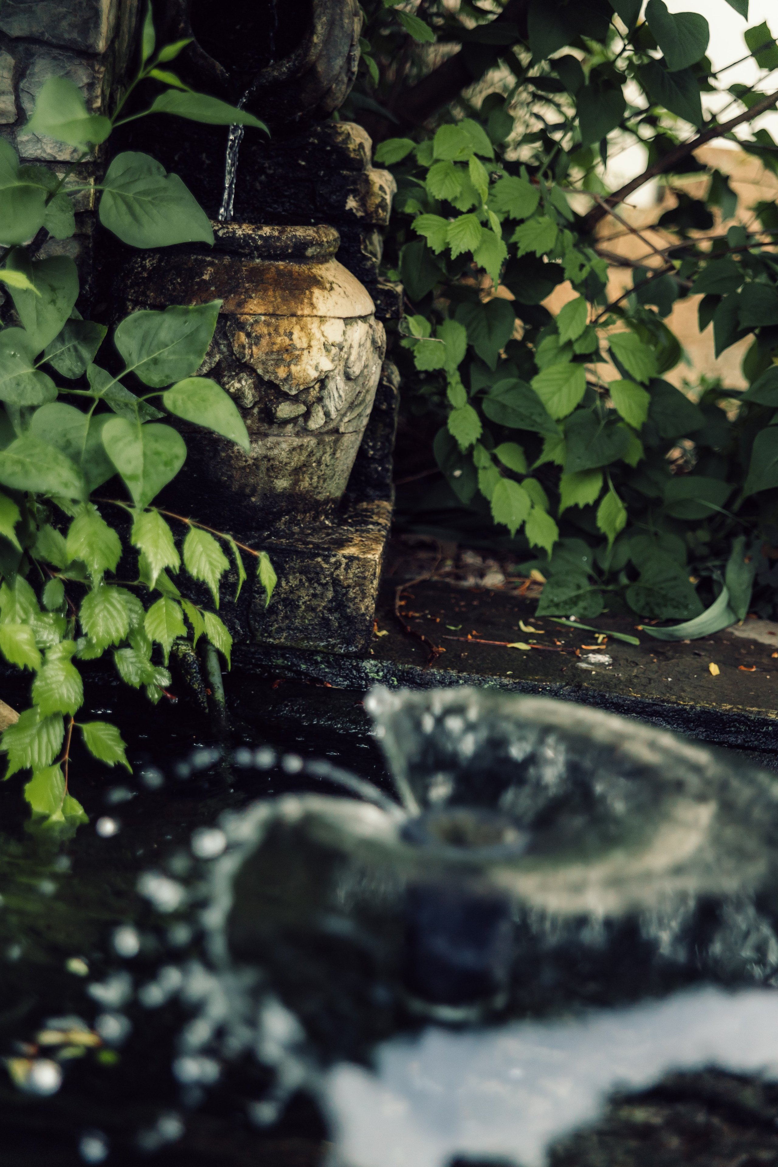 Юбилей Ирины Леонидовны. Фотограф в Таганроге и Ростове-на-Дону