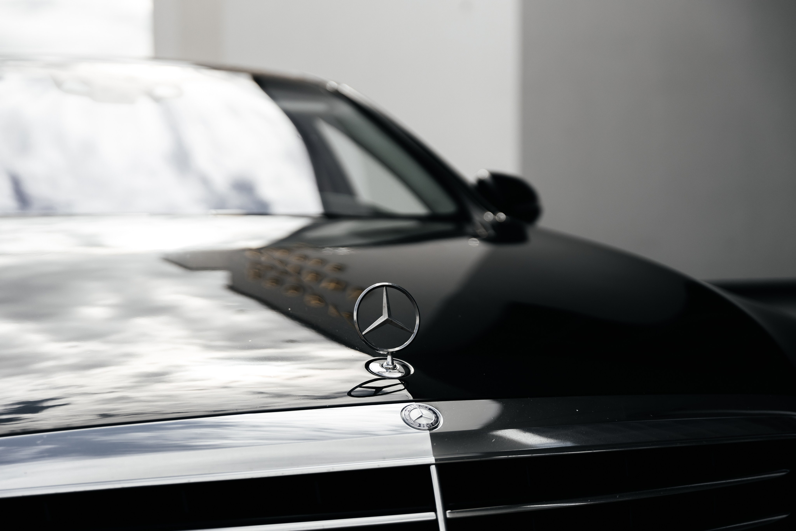 Denis & Alina. Свадебный фотограф Ильнар Асадуллин