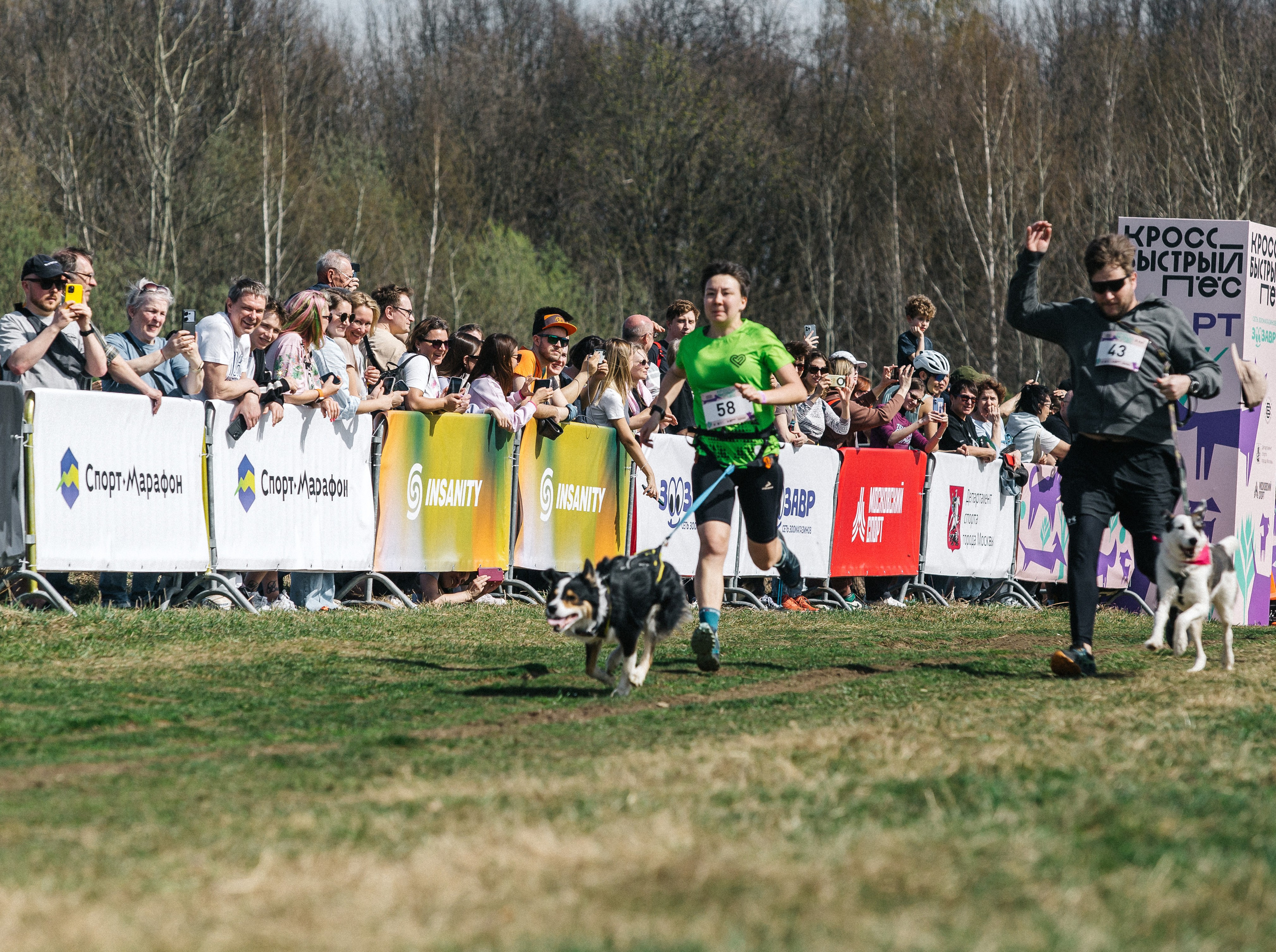 Кросс «Быстрый пёс» 2025. Репортажный фотограф в Москве