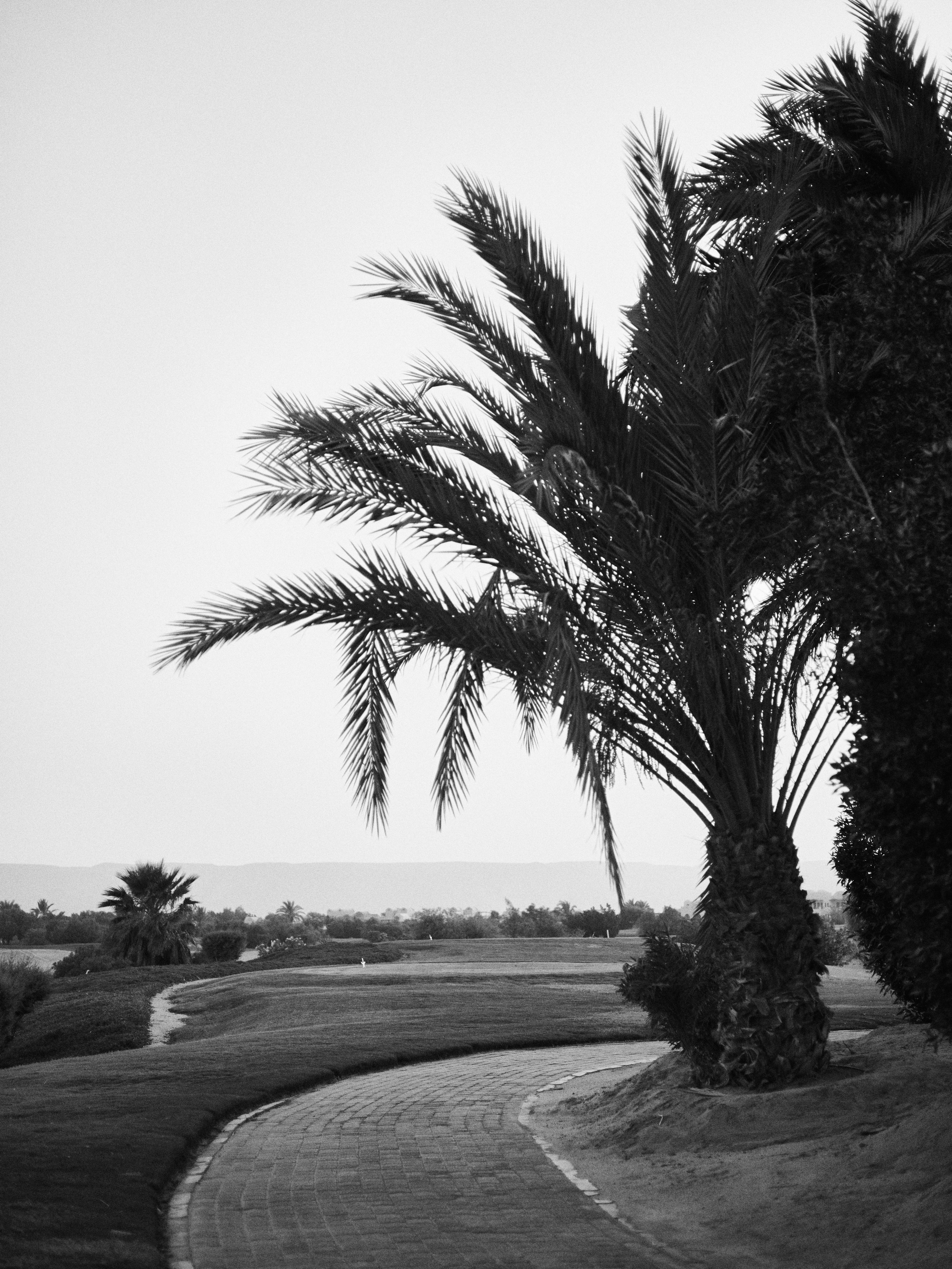 B&W. Jorgis — фотограф в Хургаде / обучение фотографии