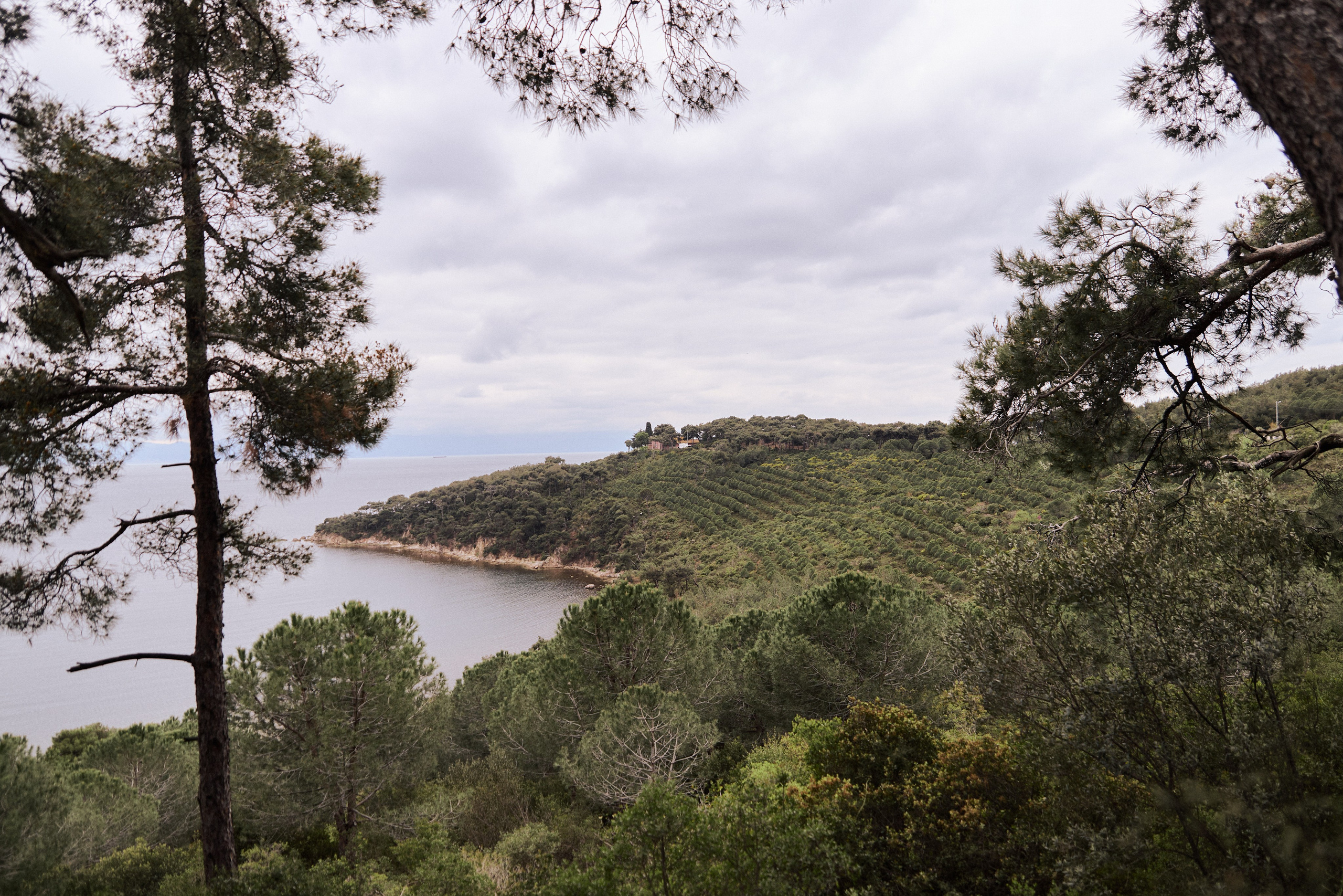 Улица горизонтальная. Jorgis — фотограф в Хургаде / обучение фотографии
