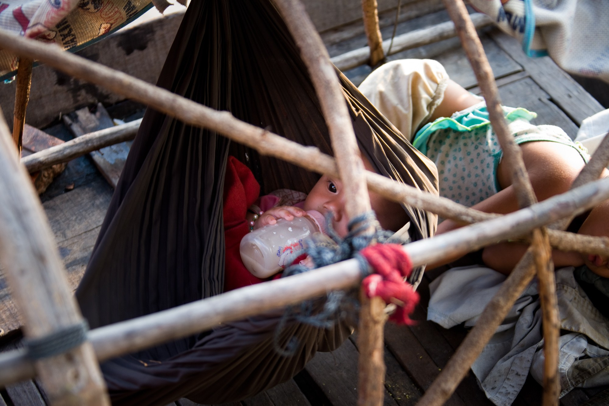 Фотограф Алексей Скоробогатько