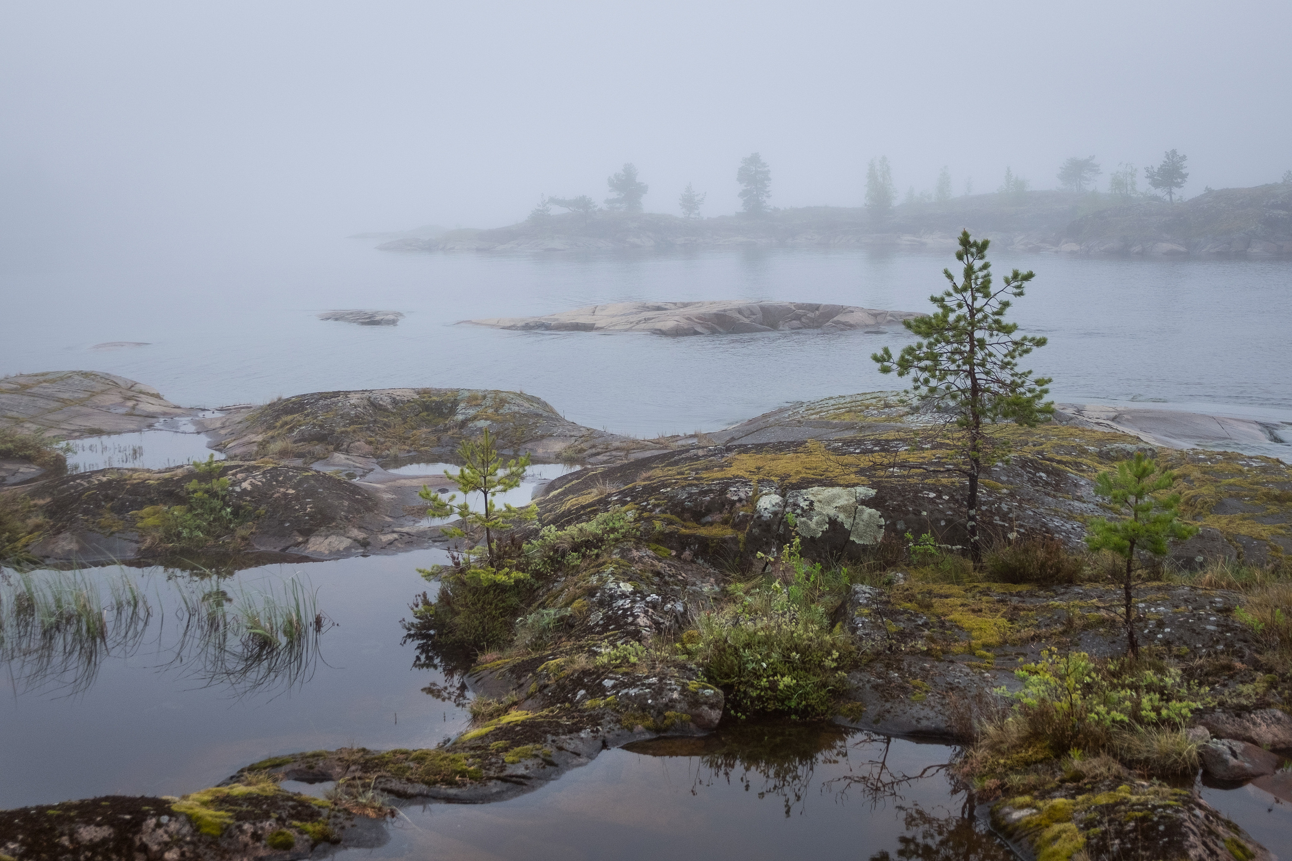Пейзаж. Фотограф Антон Денисенко: Портрет, Документалистика, Пейзаж. Москва