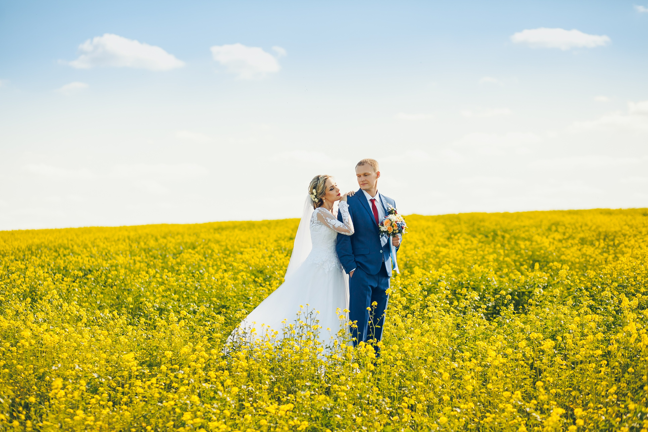 Сергей и Яна. Свадебный фотограф в Алексеевке Сергей Коротенко