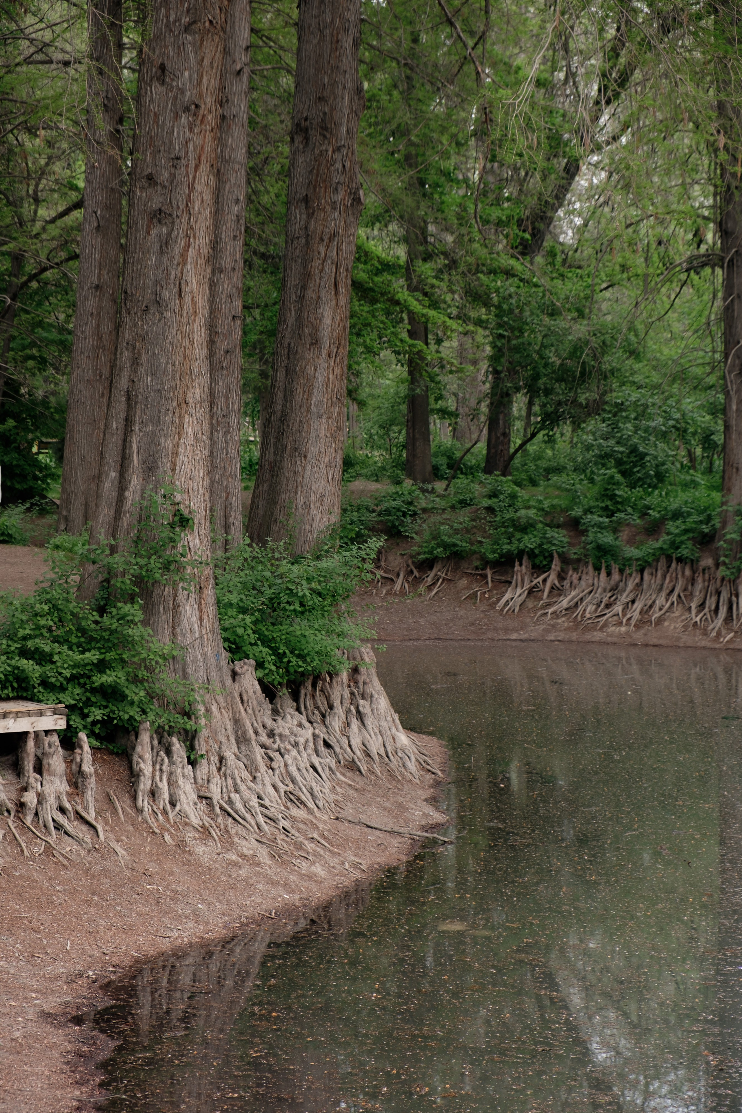 Узбекистан. Города. Фотограф Конопихин Константин