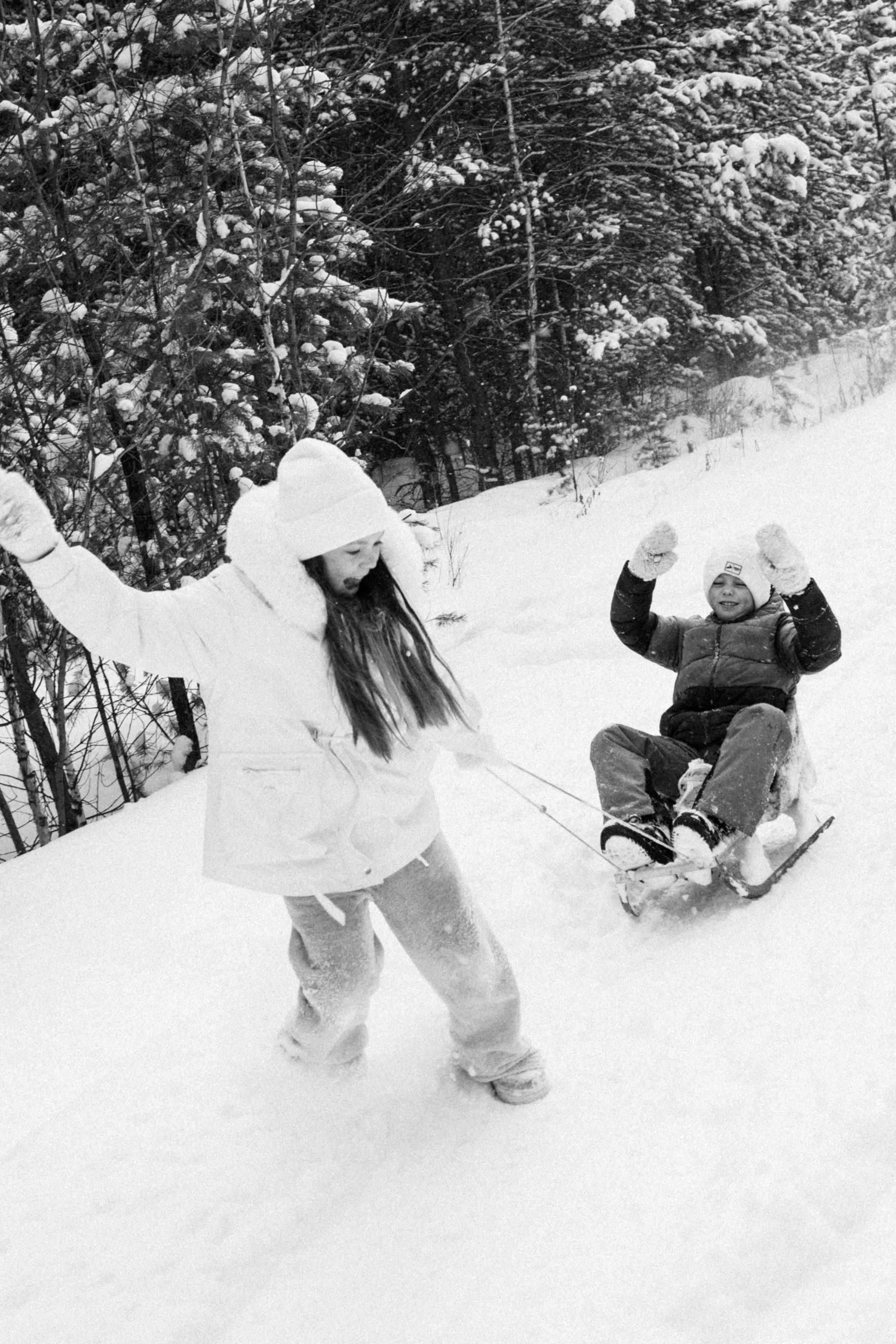 Семья Куркиных | 2026