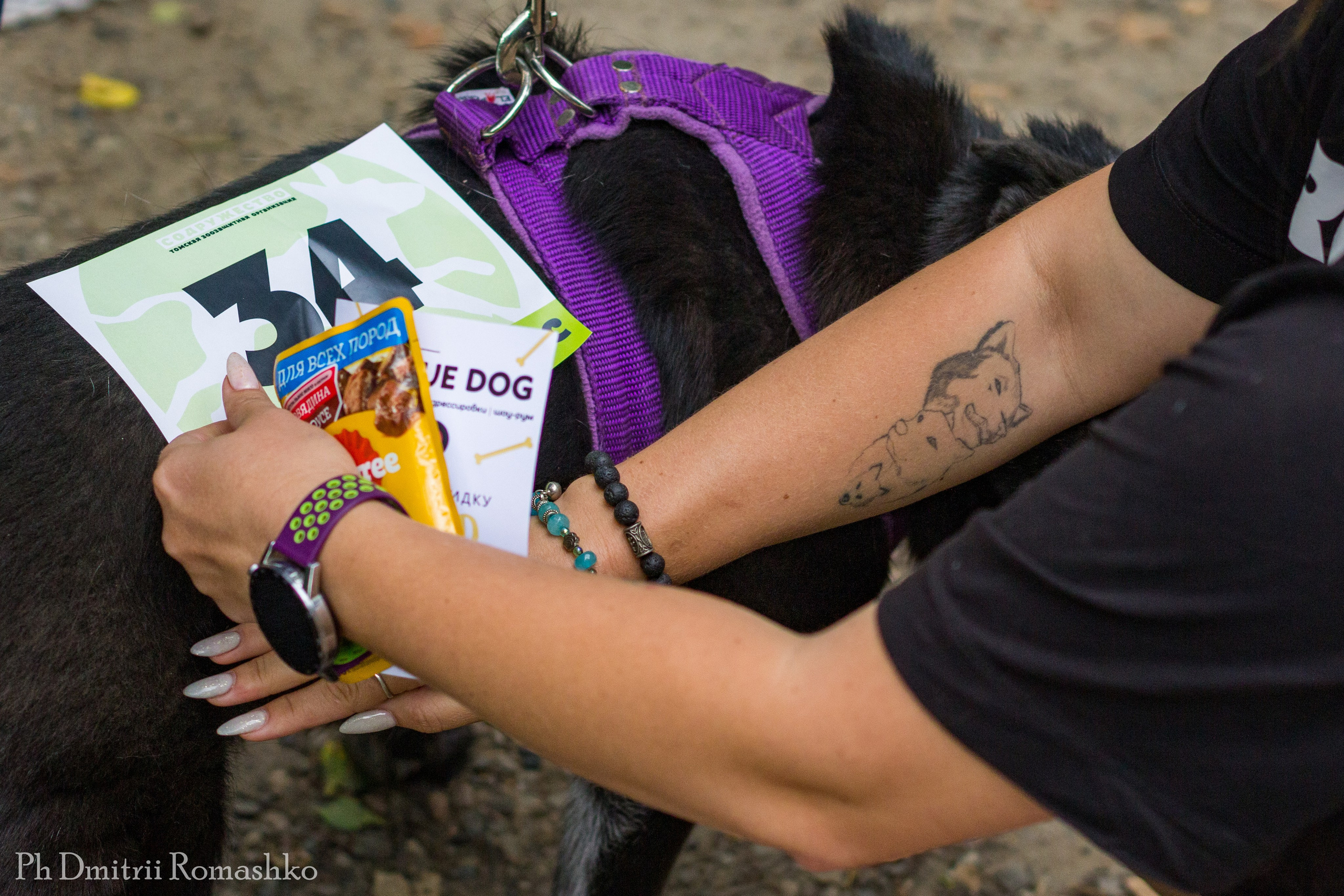 Репортаж/Бэкстейдж. Фотограф Дмитрий Ромашко