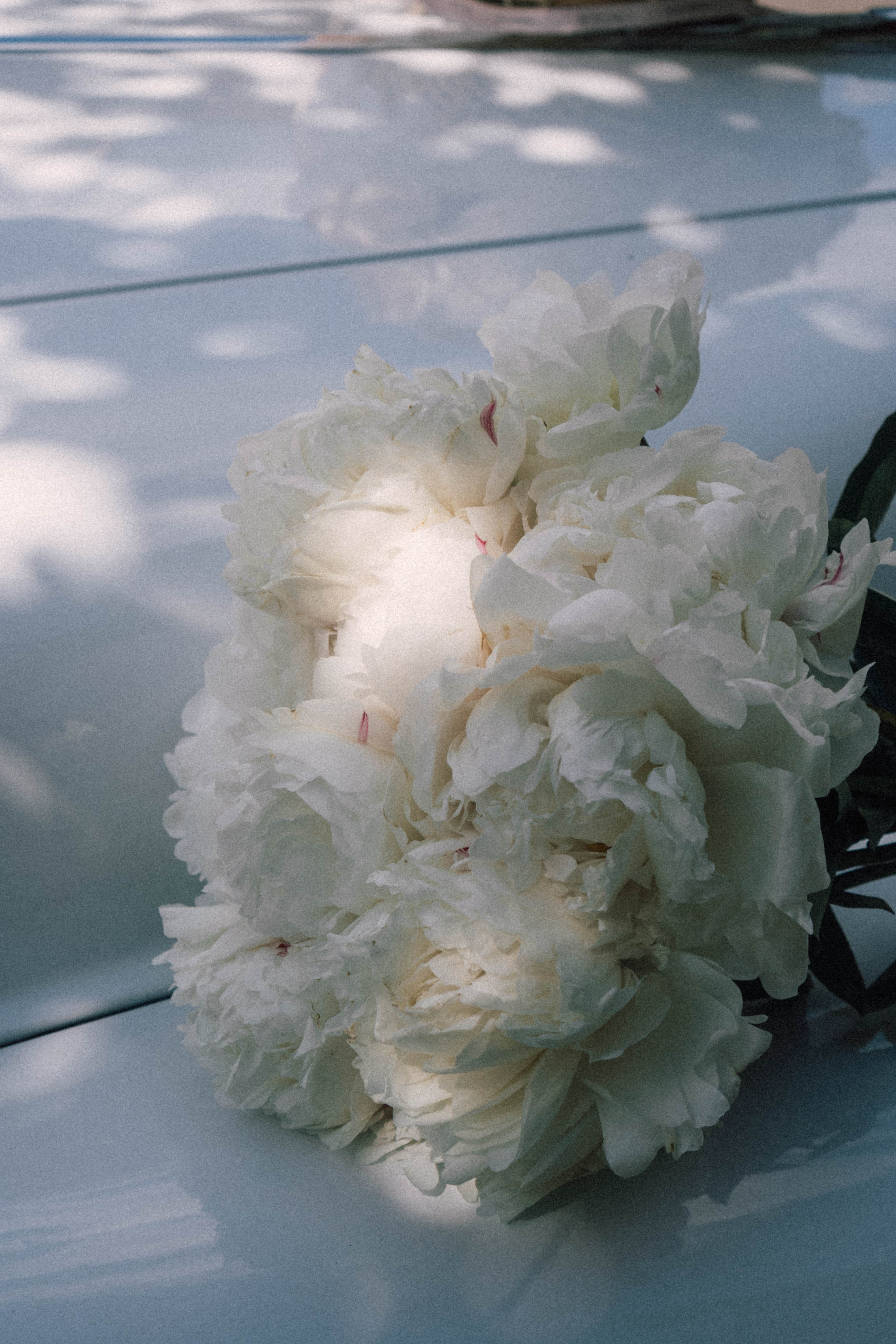 Винтажный стиль. Профессиональный фотограф, Санкт-Петербург — Виктория Богомолова