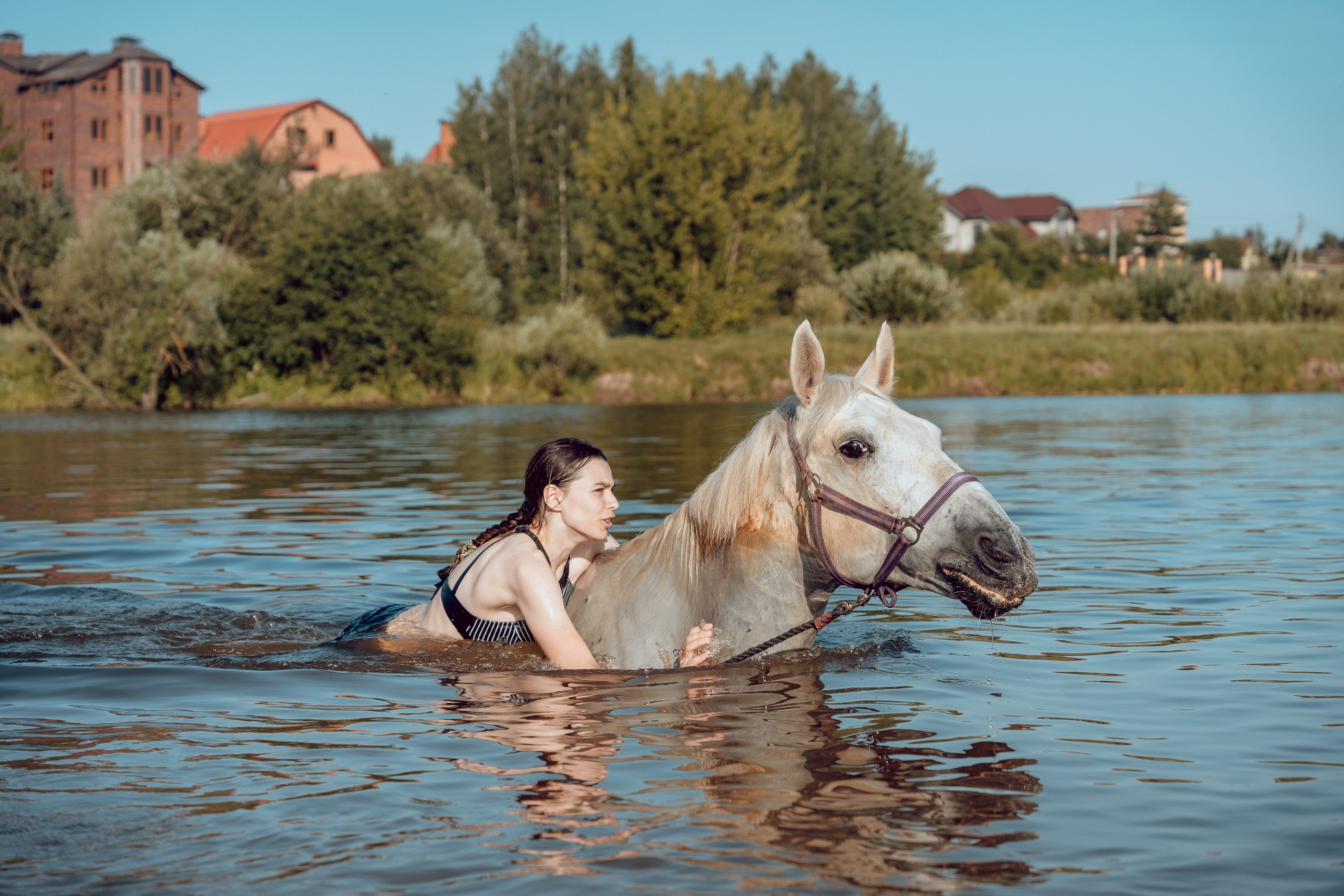Купание лошадей 05.07.2024. Портретный и семейный фотограф в Москве/Видное