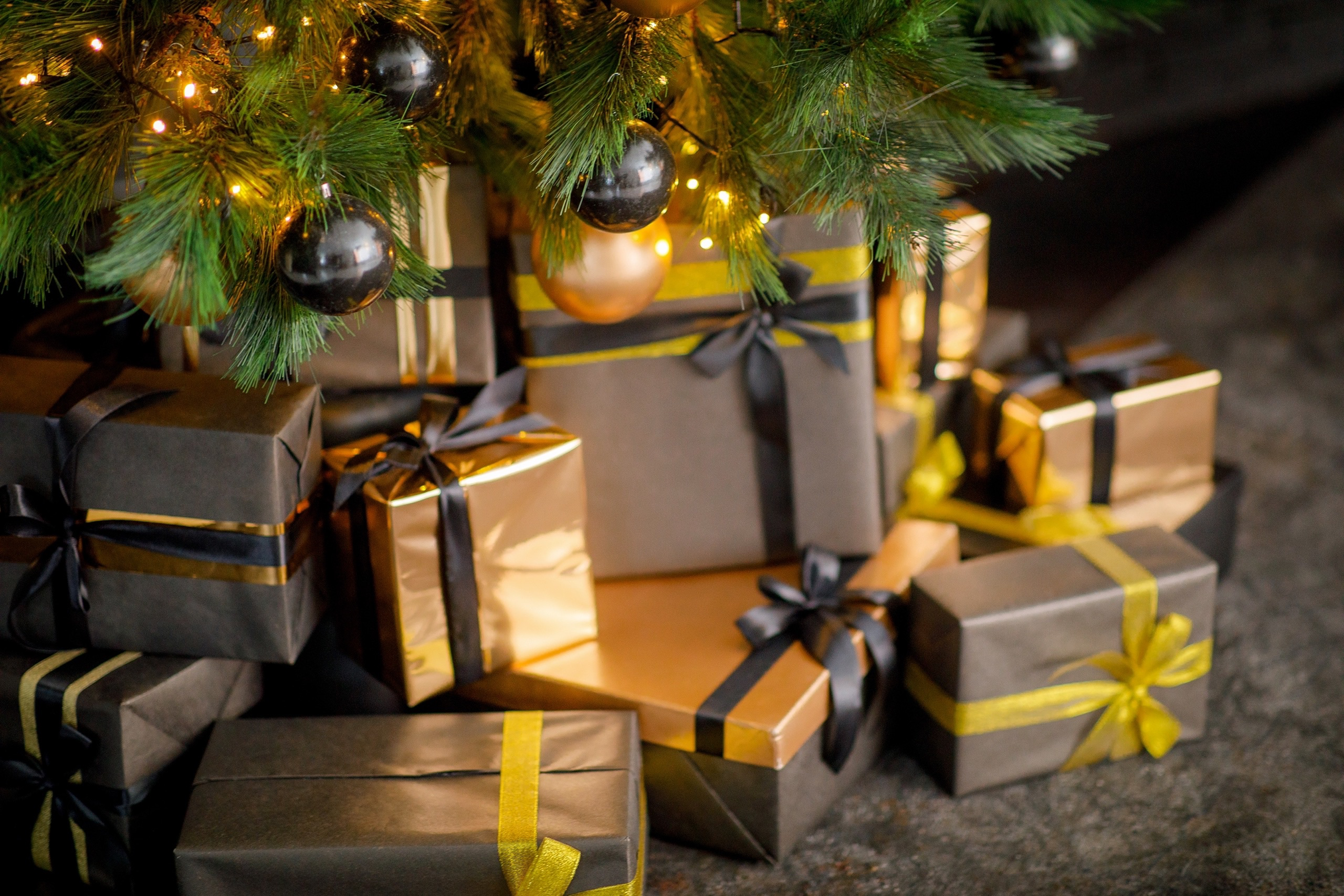 LightRoom. ФОТОГРАФ | Сыктывкар