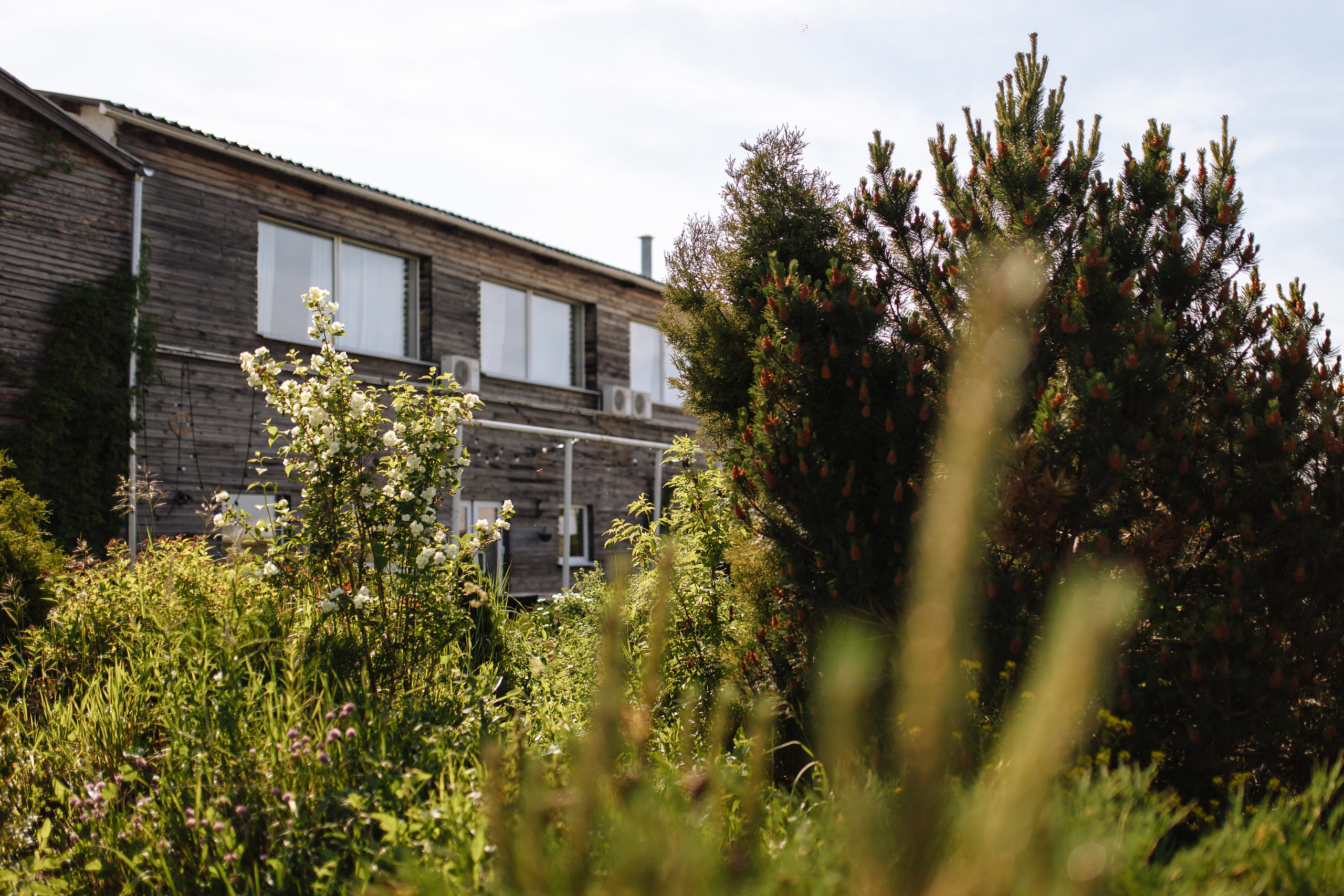 Свадебный репортаж. Свадебный и Репортажный фотограф Александр Шаров