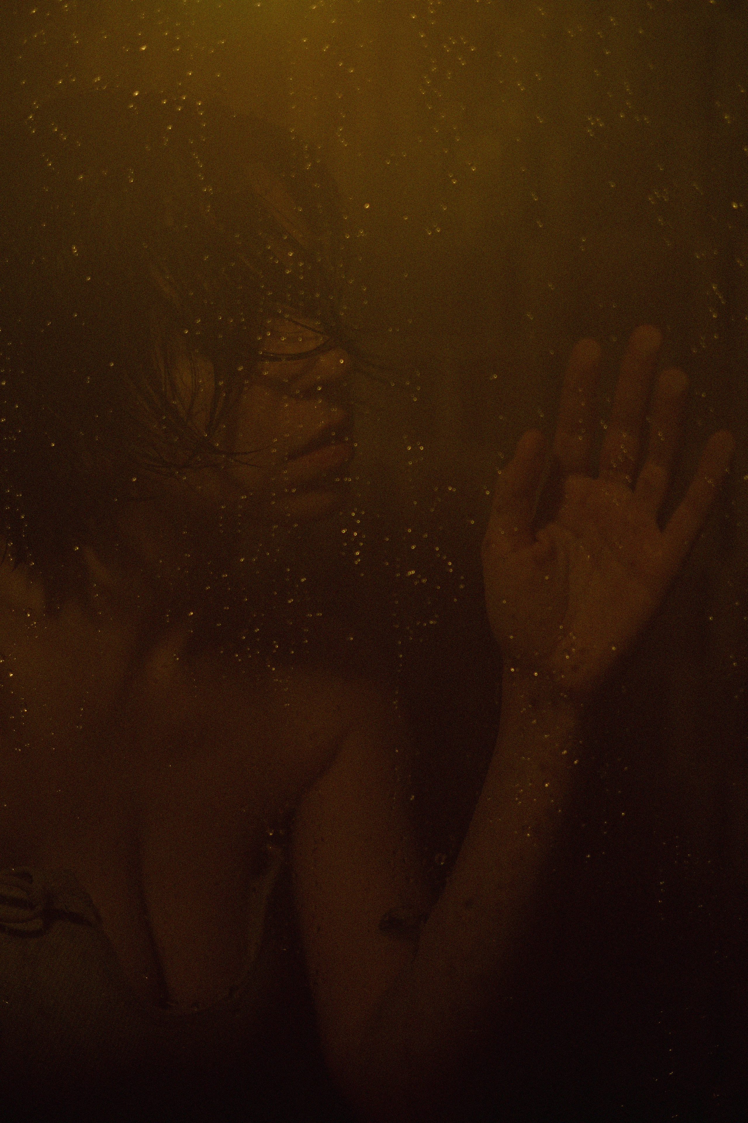 S H A P E. Свадебный фотограф Колесников Антон